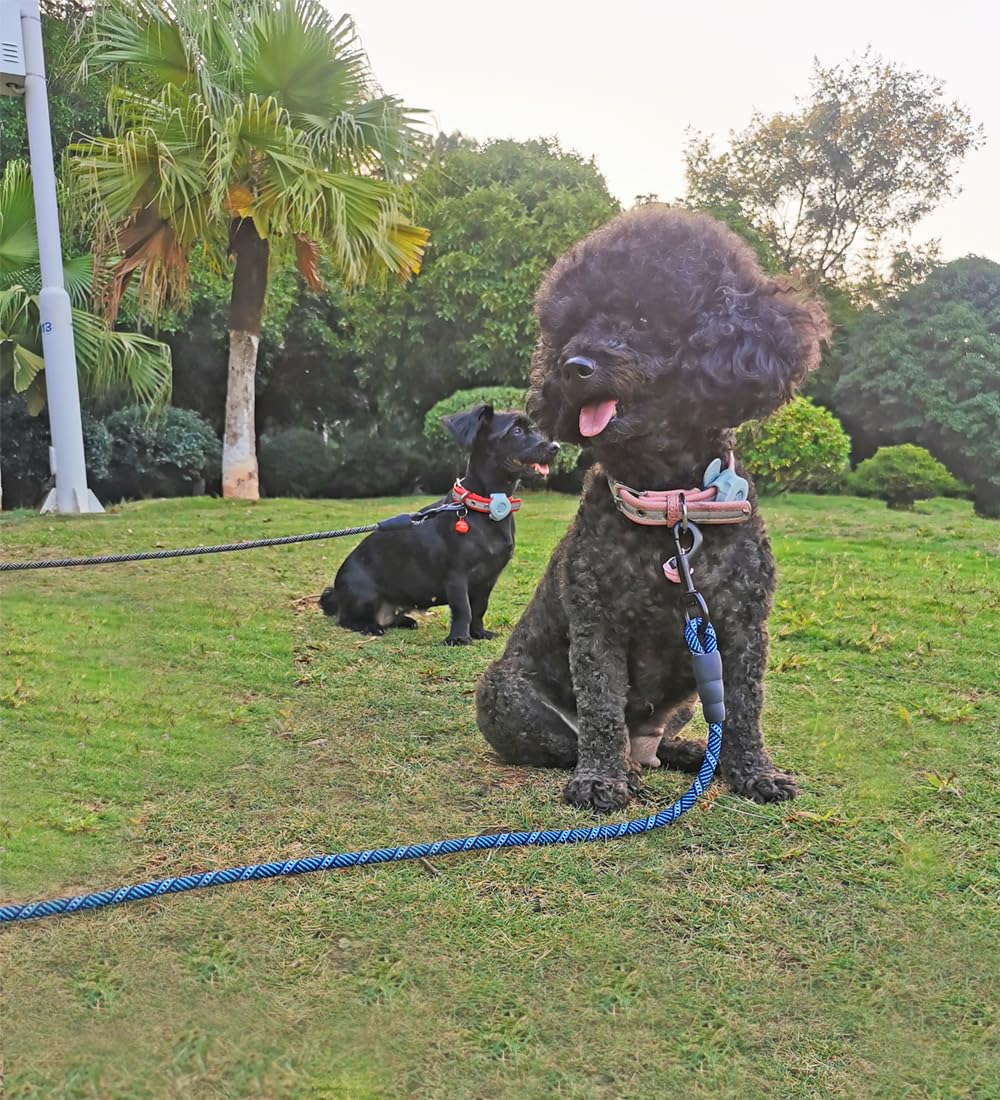 Mycicy Long Rope Leash For Dog Training, 22Ft Dog Leashes Check Cord Recall Agility Lead For Large Medium Small Dogs, For Outdoo