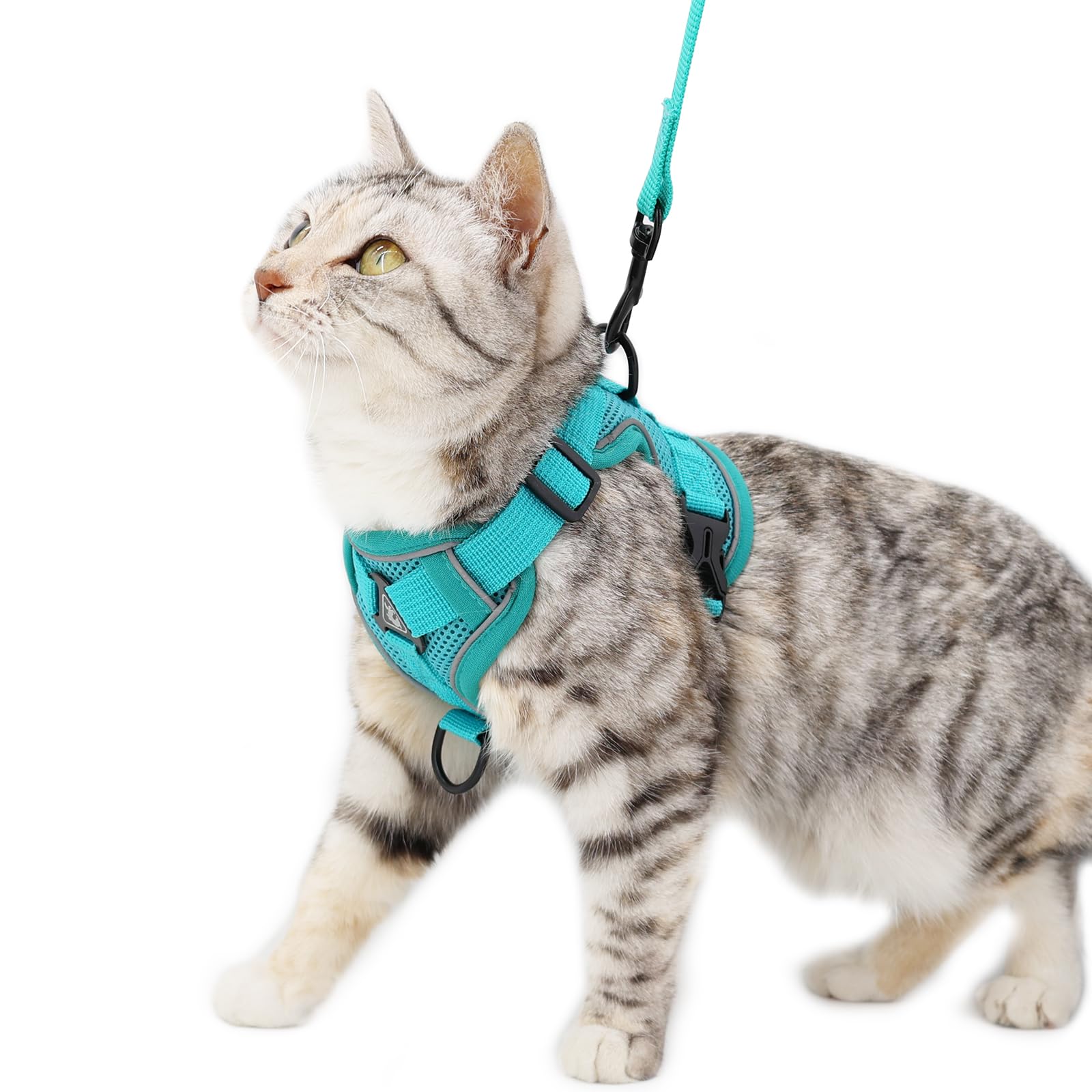 pangdi Cat Harness and Leash Set Escape Proof Tactical Large Kitten Harness Emotional Support Cat Vest, Turquoise, L