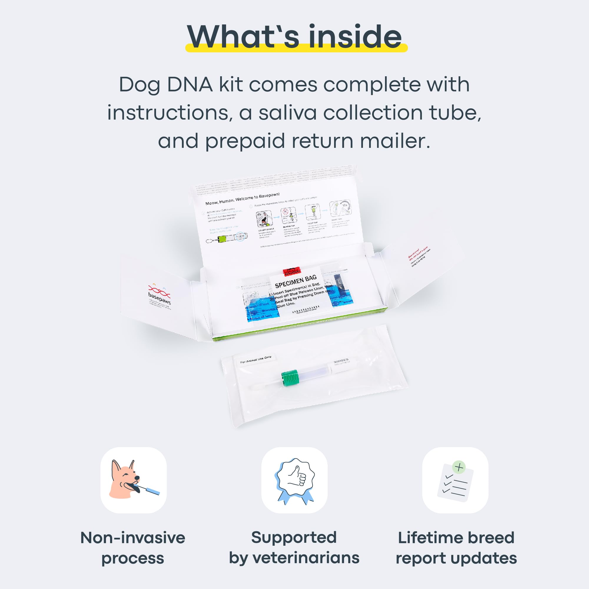 Basepaws Dog DNA Testing Kit - 300+ Breeds, 280+ Health Risks, Mixed Breed Identification, Canine Genetic Ancestry, Model DNAKIT