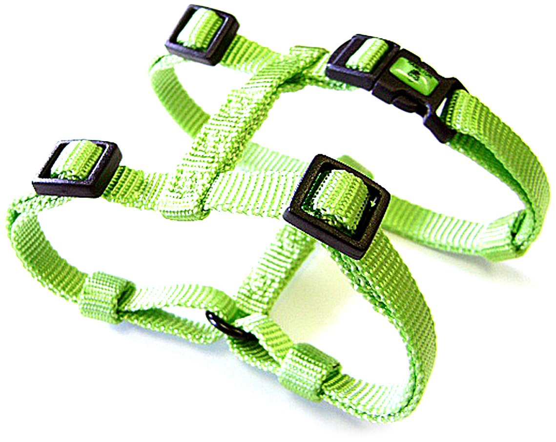 Hamilton Adjustable Comfort Nylon Dog Harness, Lime Green, 1'' x 40-50''