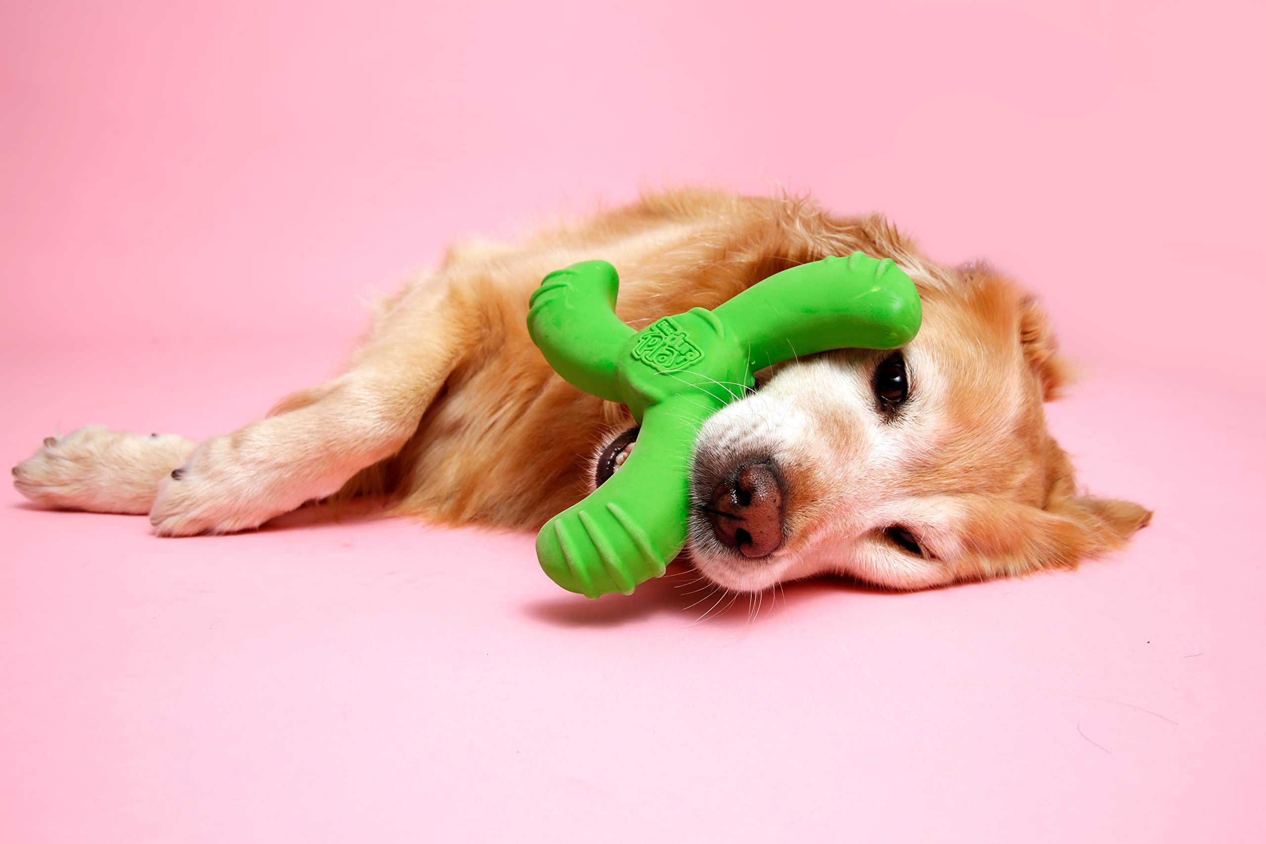 Hartz DuraPlay Bacon Scented Dog Toys, Medium/Large ( Colors may vary ) All Breed Sizes