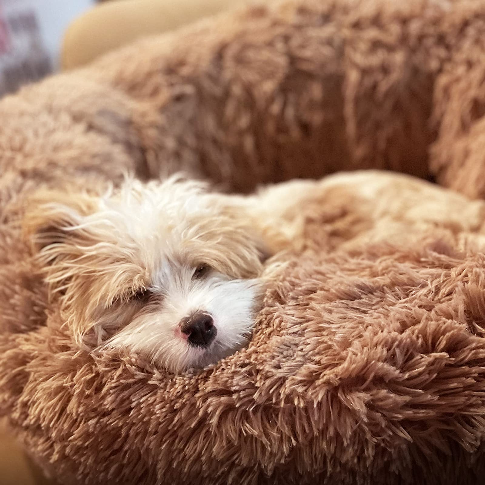 Nononfish Small Puppy Beds For Small Dogs Washable - 19 Inches Round Faux Fur Pet Bed For Puppy And Cat Donut Fluffy Plush Ortho