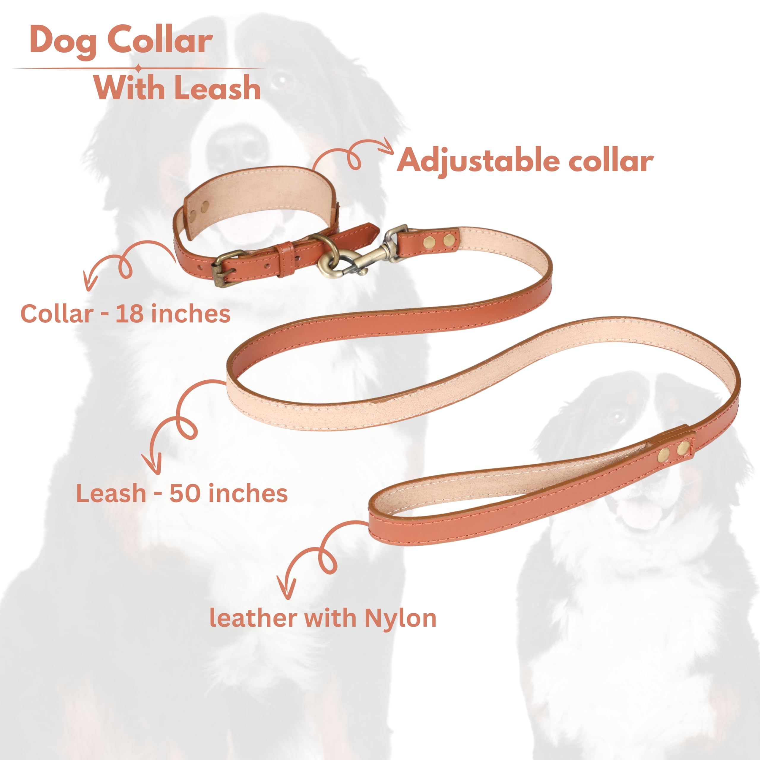 Light & Pro Tan Leather Dog Collar And Leash Set - Soft Handsome Comfirtable Durable Leash And Adjustable Collar Set - 18 Inch C