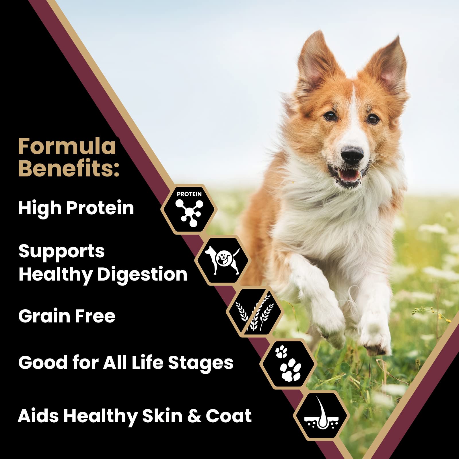 Victor Super Premium Dog Food - Grain Free Lamb Meal & Sweet Potato Recipe - Dry Dog Food for Dogs of All Life Stages - High Pro