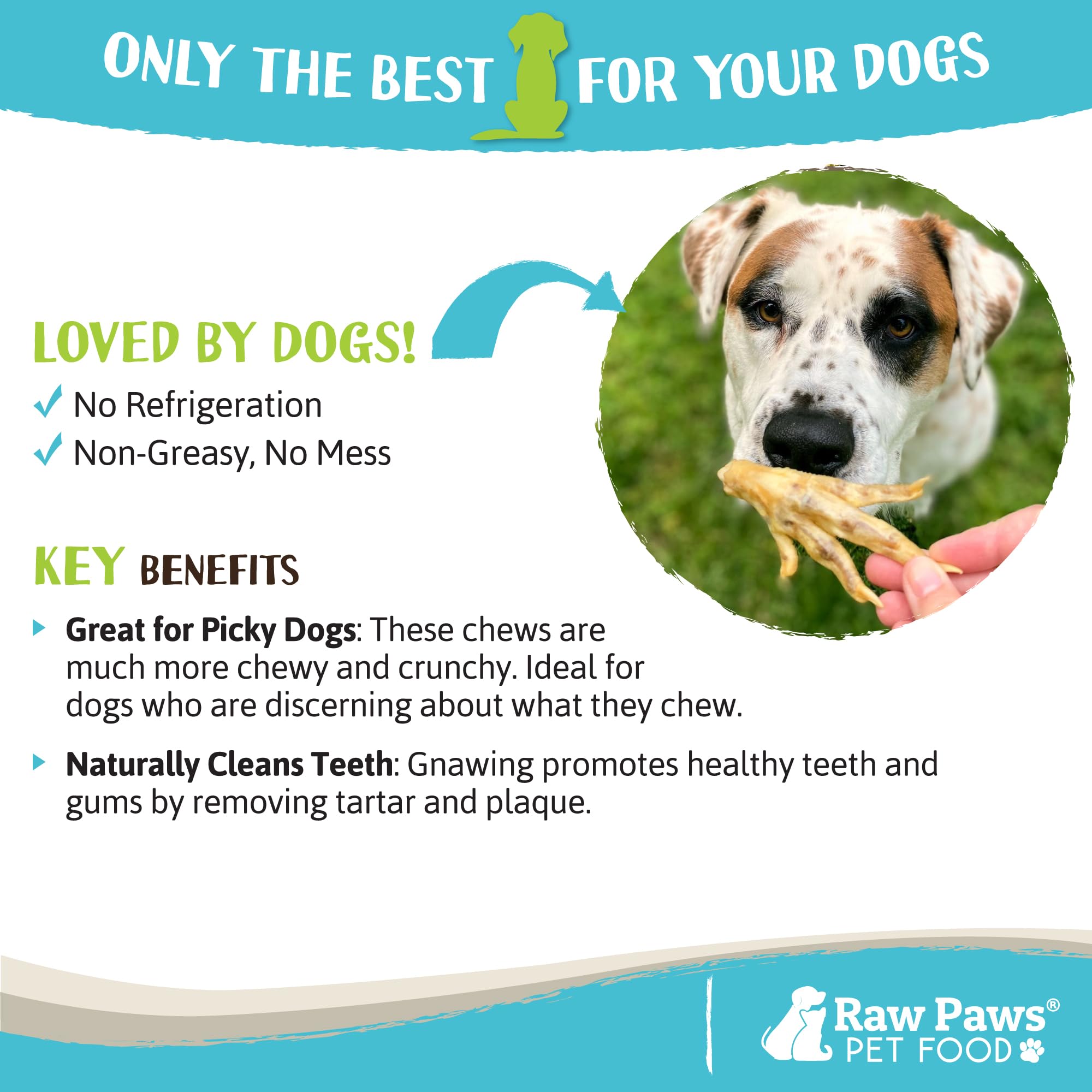 Raw Paws Dried Chicken Feet Dog Treats (10 Count) - Packed in USA - Dehydrated Chicken Feet for Dogs - Natural, Single Ingredien