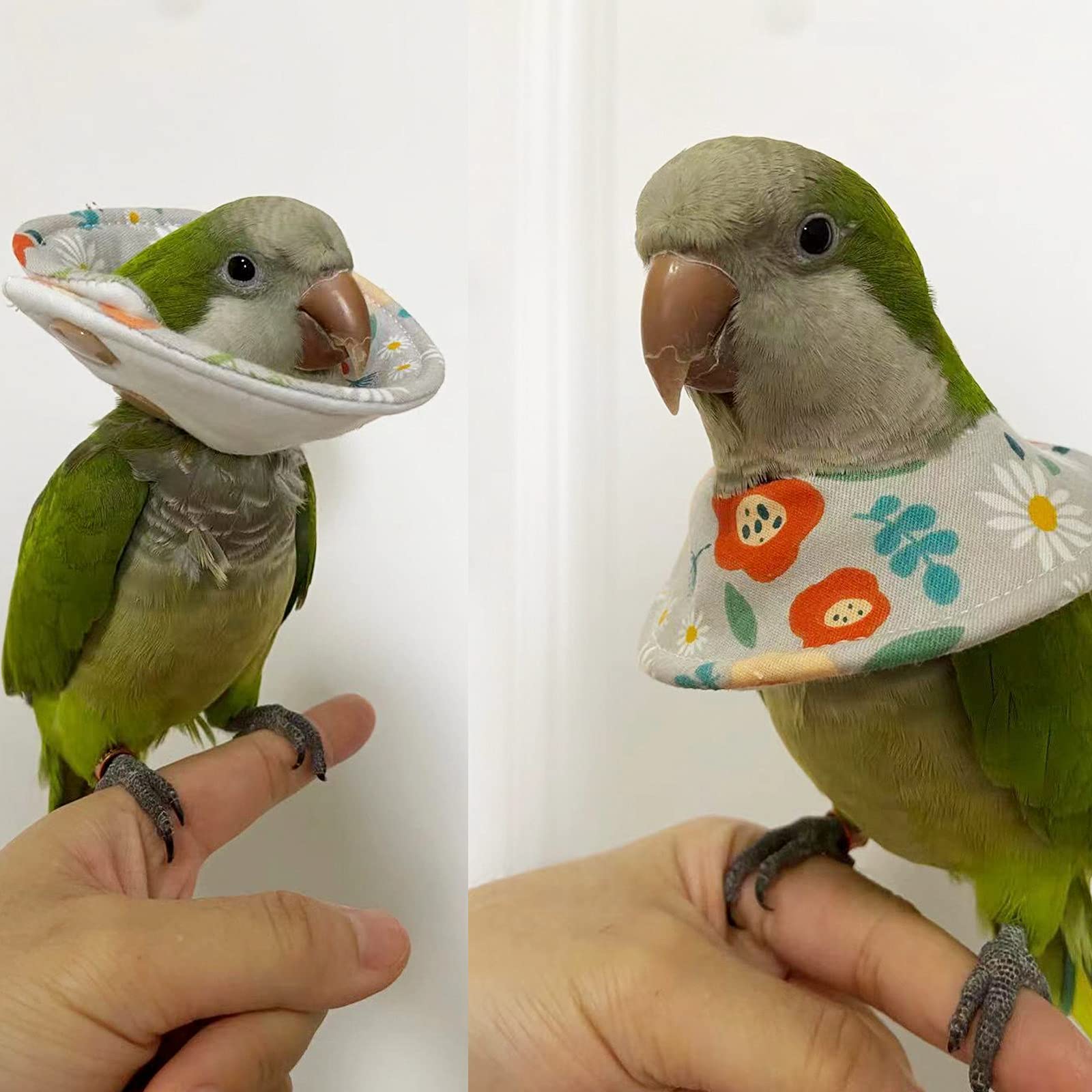 Guanlant Bird Collars For Monk Parakeets, Quaker Parrot Feather Plucking Soft Collar, Parrot Recovery Cones Sun Conure Neck Feat