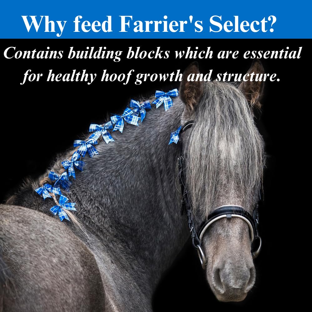 SU-PER Farriers Select Hoof Supplement - Horse Premium Hoof Care Supplement with Probiotics - Healthy Hoof Growth - 20 Pounds,