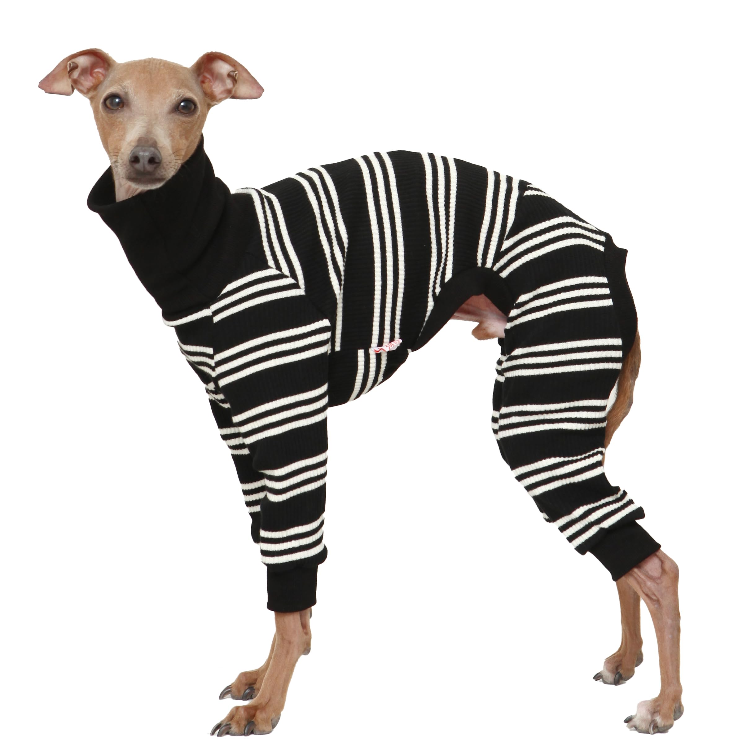 D Doggy Star Italian Greyhound Clothes Soft Stretchy Onesie Refined Stripe Outfit Whippet For Dog Coat (L,Onsi Ivory Str)