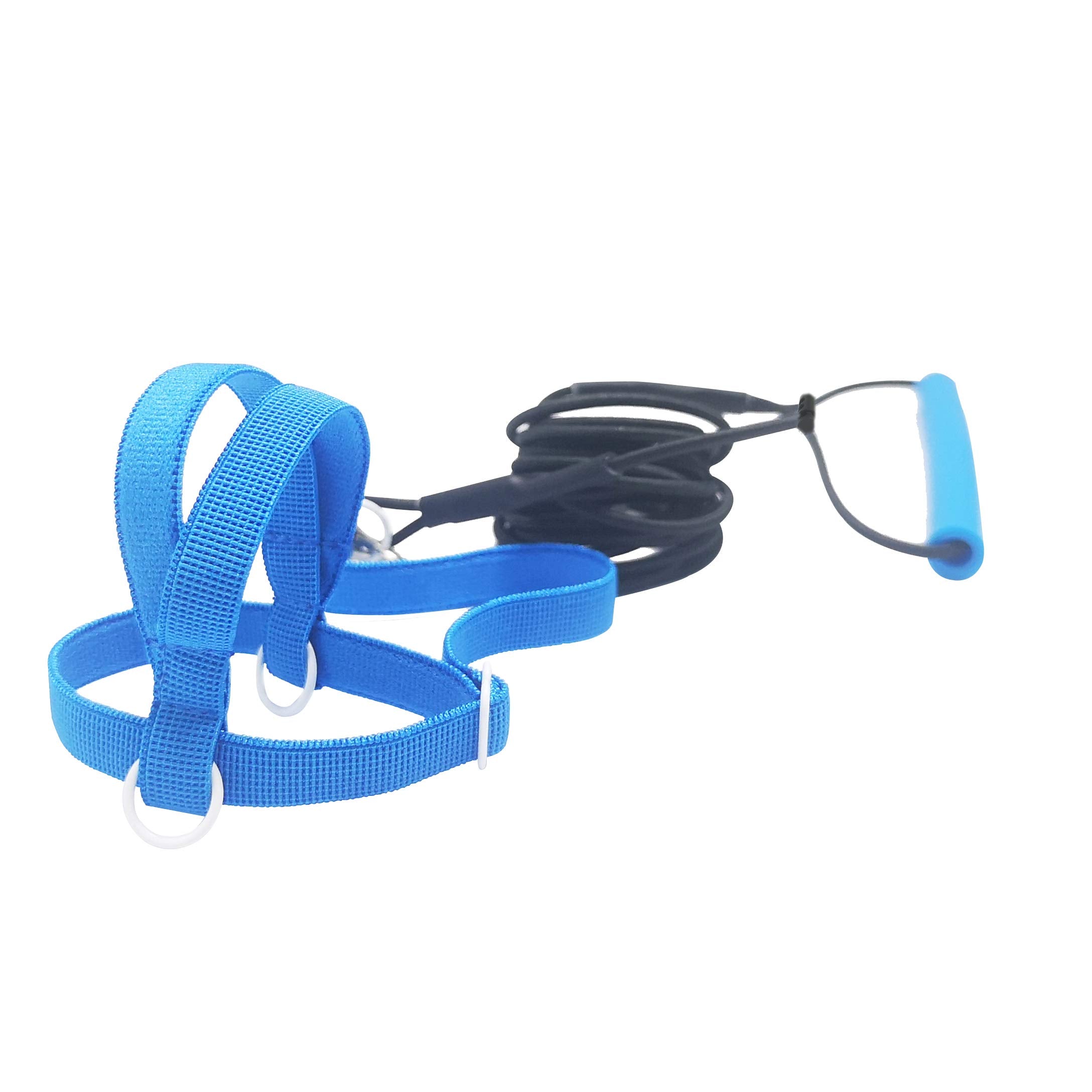 Vanfavori Adjustable Bird Harness With 80 Inch Leash,Outdoor Flying Training Rope Kit For Bird Parrots Cockatiel S Size Weight 70-120 Grams,Blue