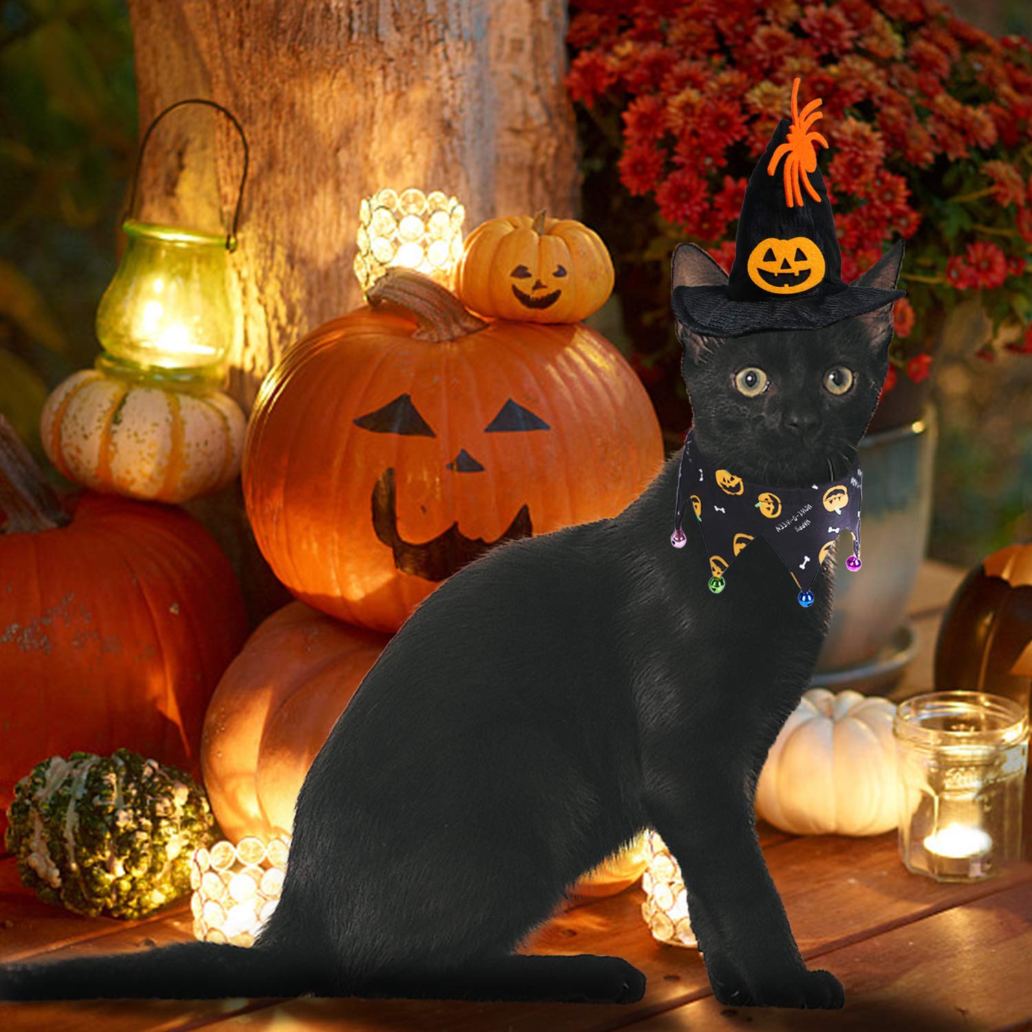 Rypet Cat Halloween Costume - Halloween Cat Collar With Bells And Halloween Pumpkin Hat Cat Costume Suit For Cats And Small Dogs