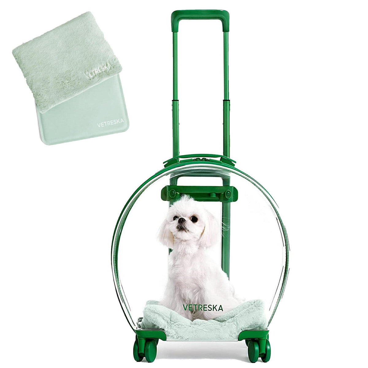 Vetreska Hard Cat Carrier With Stickers & 2 Mats, Freely Breathe Travel Dog Carrier, Airline Approved Outdoor Cat Crate, Cat Ken