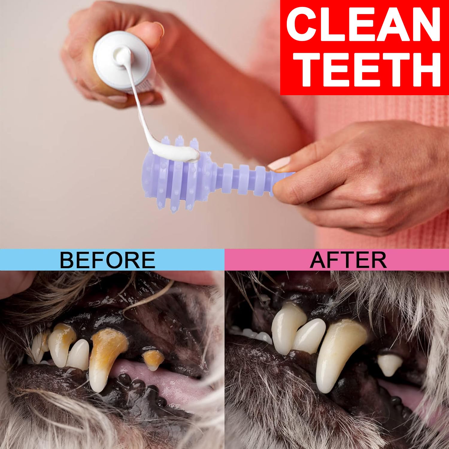 Cgbd 6 Pack Dog Chew Toys, Purple, Small Dog Teething Toys, Soft Durable Interactive Toys For Puppies