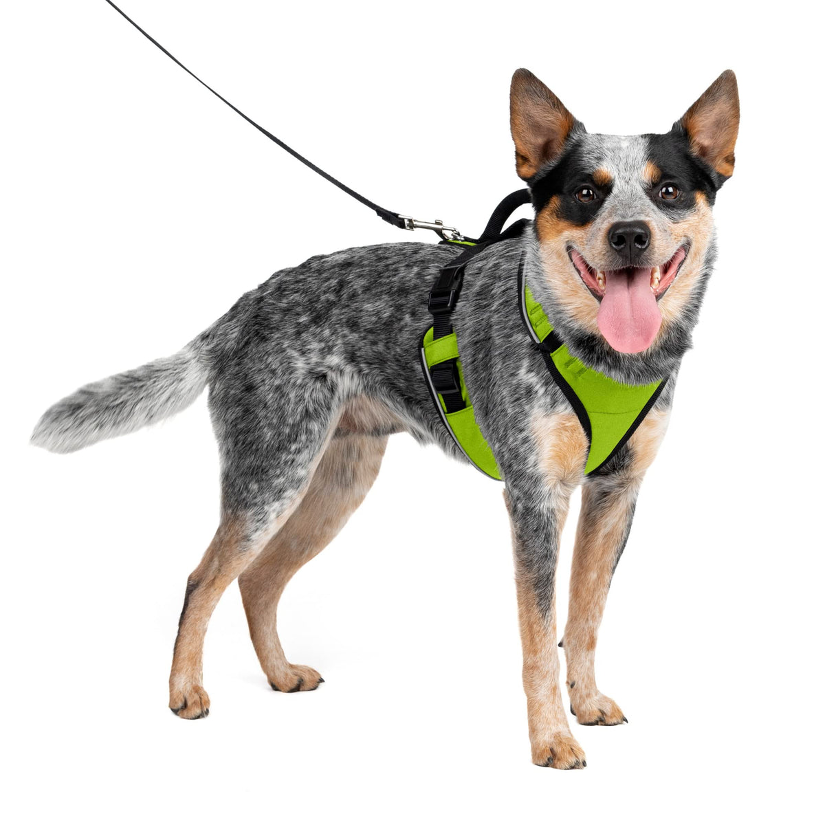 Petsafe Easysport Dog Harness – Adjustable, Padded Dog Harness With Control Handle And Reflective Piping – Medium, Apple Green