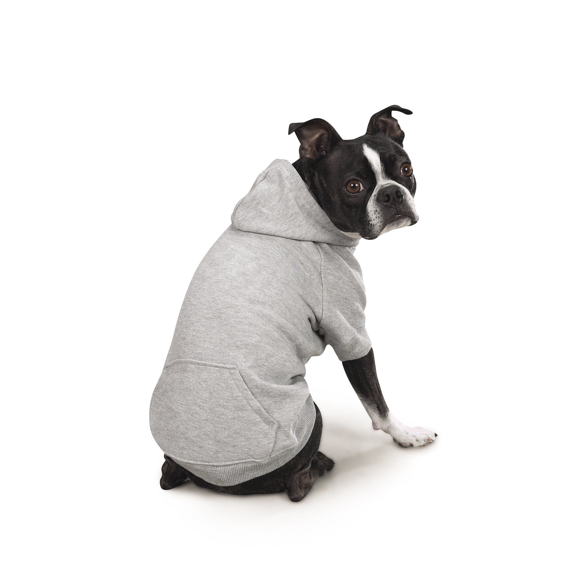 Zack & Zoey Basic Hoodie For Dogs, 16' Medium, Heather Gray