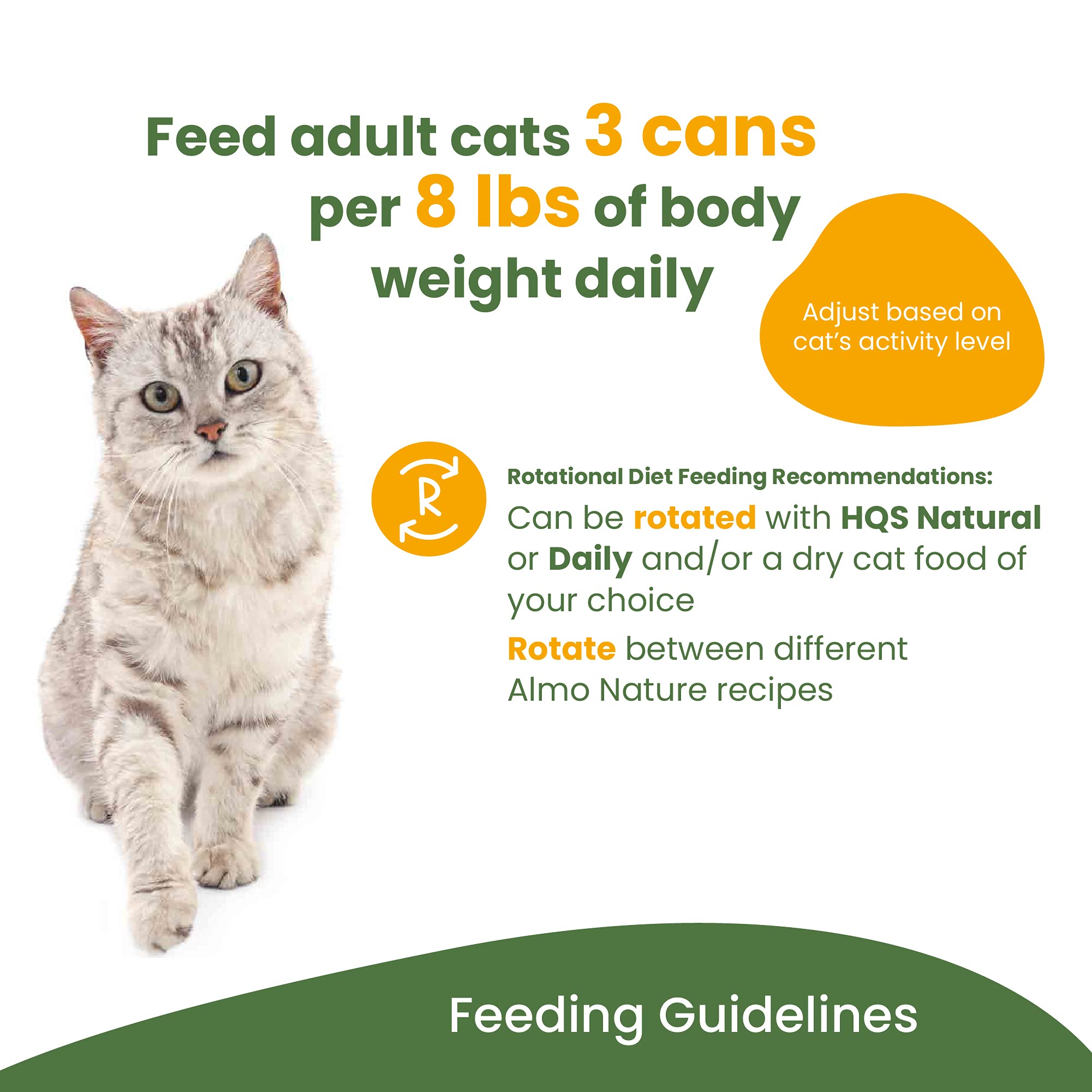 Almo Nature HQS Complete Salmon & Papaya In Gravy, Grain Free, Adult Cat Canned Wet Food, Flaked.
