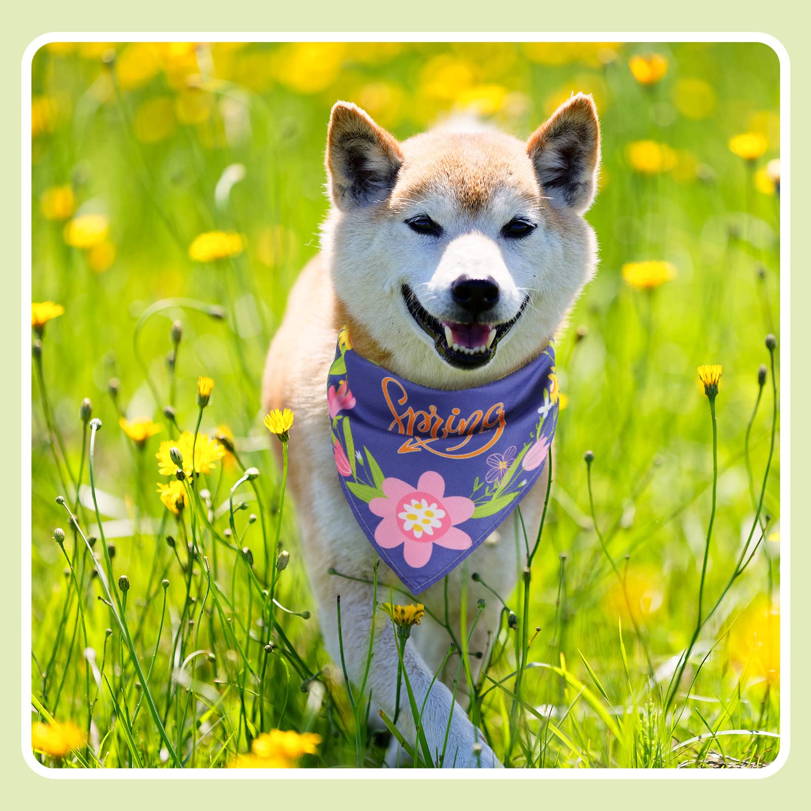 50 Pieces Dog Pet Spring Summer Bandanas Floral Dog Bibs Seasonal Pet Costume Adjustable Dog Cat Summer Outfit Cute Washable Triangle Scarf Kerchief For Small To Medium Pet (Fresh Style)
