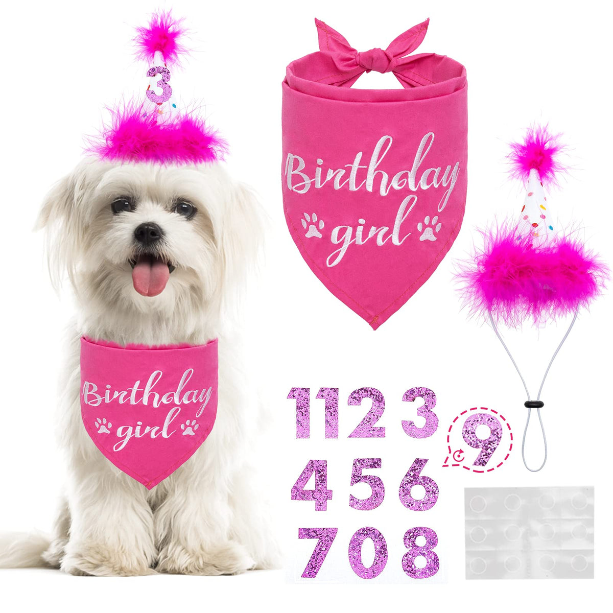 Bingpet Dog Birthday Bandana Girl Scarf And Reusable Dog Birthday Hat With 0-8 Figures