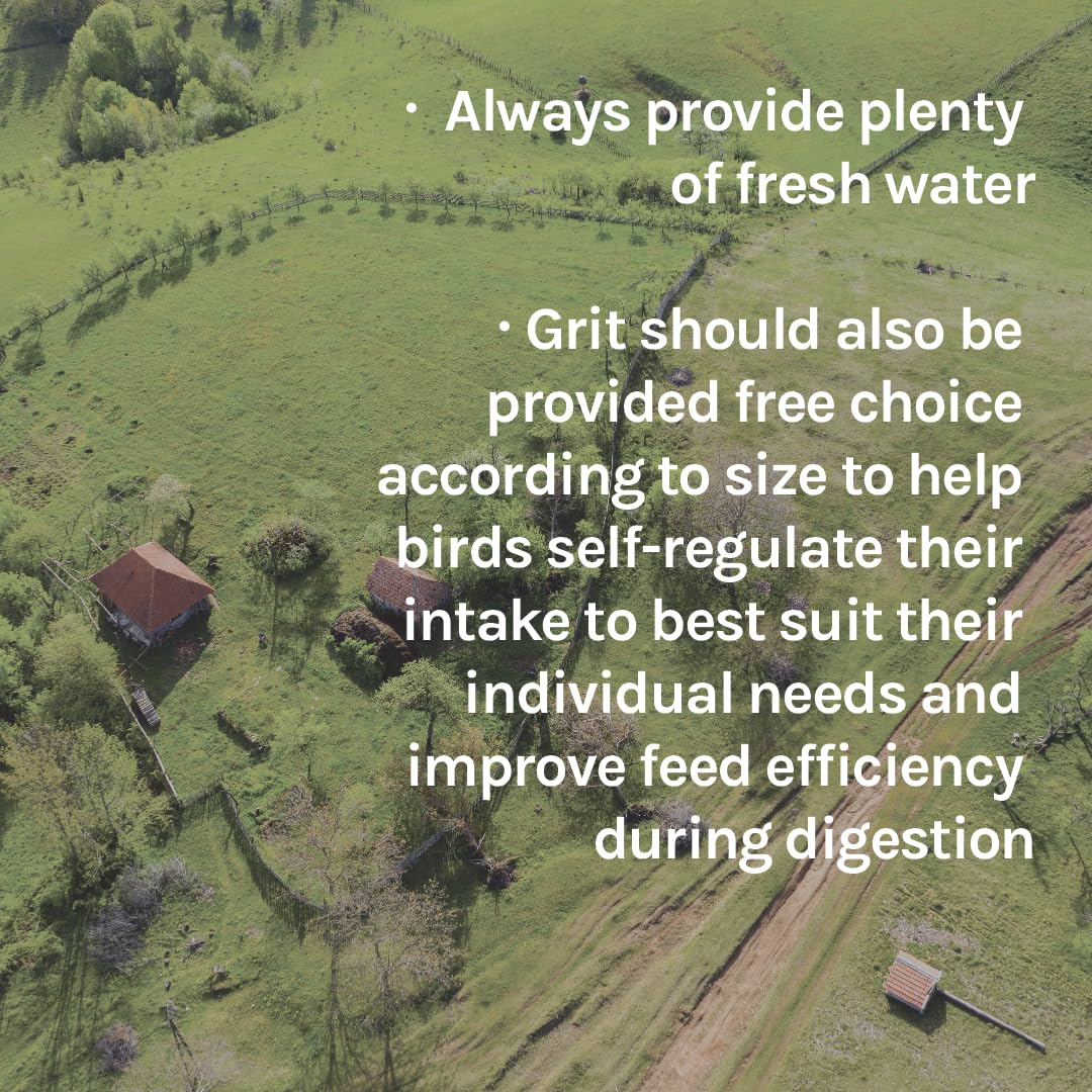 New Country Organics | Wheat-Free Chicken Feed 25lbs | Layer Feed for Laying Hens | Gluten-Free and Soy-Free | 17% Protein | Cer