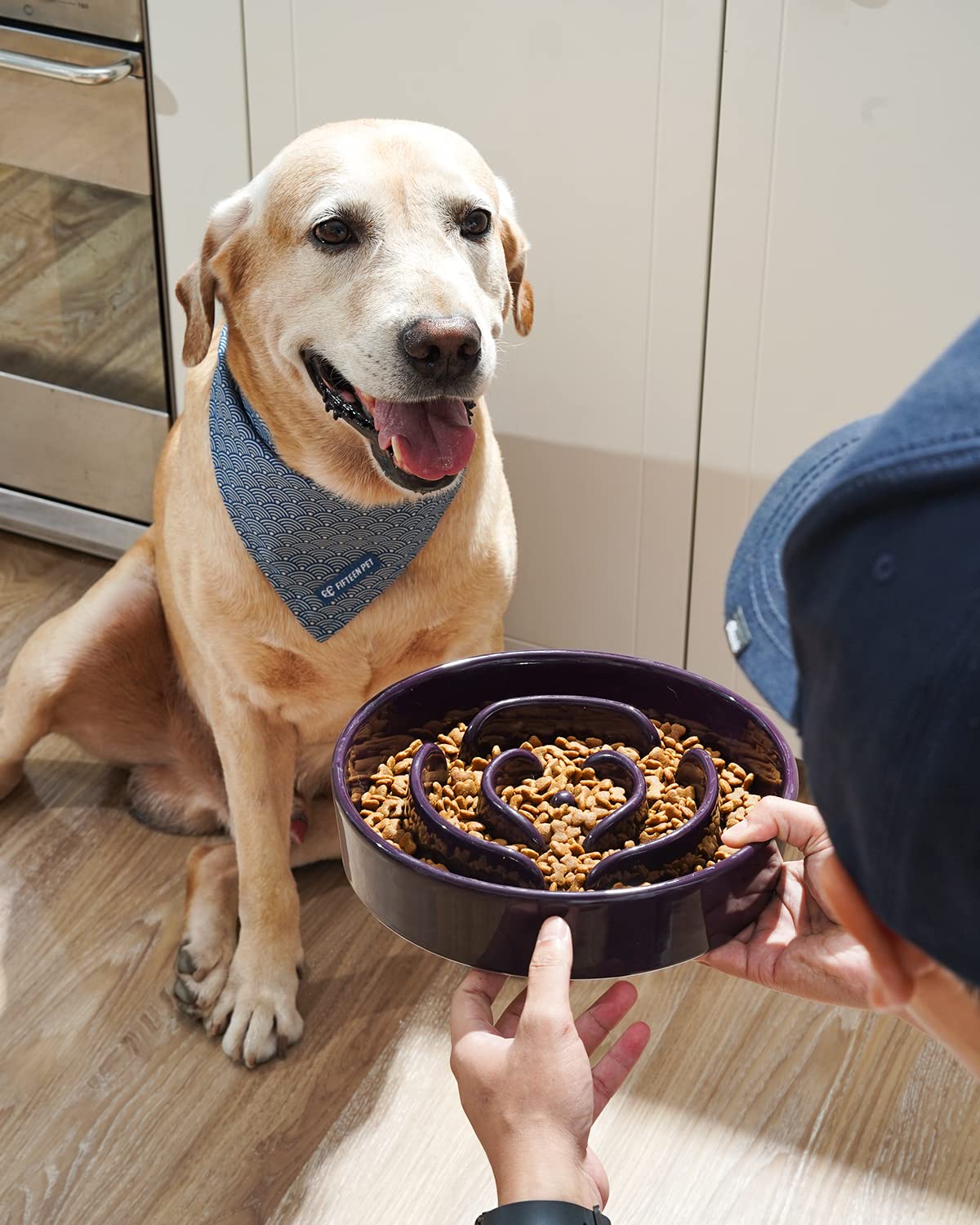 LE TAUCI Slow Feeder Dog Bowls Ceramic, 3 Cups Slow Feeding Dog Bowl Medium Large Breed, Maze Dog Bowl for Fast Eaters, Dog Dish
