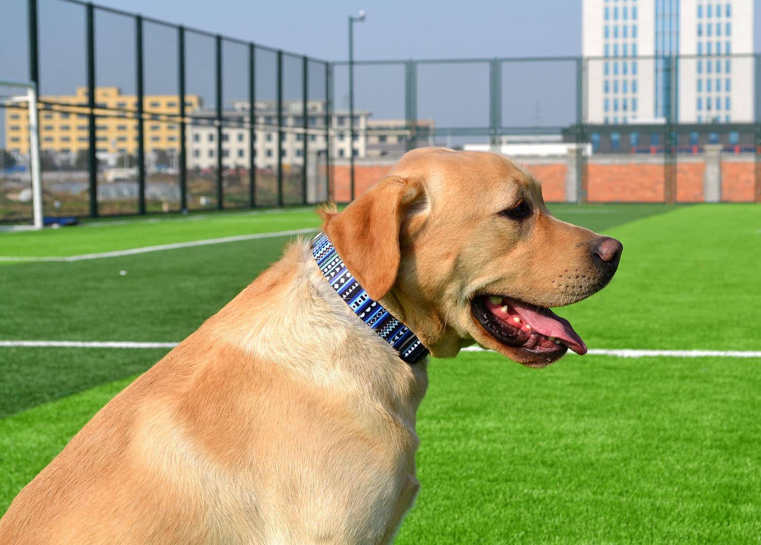 Mihqy Dog Collar With Bohemia Floral Tribal Geometric Patterns - Soft Ethnic Style Collar Adjustable For Small Medium Large Dogs(Bohemian Blue,L)