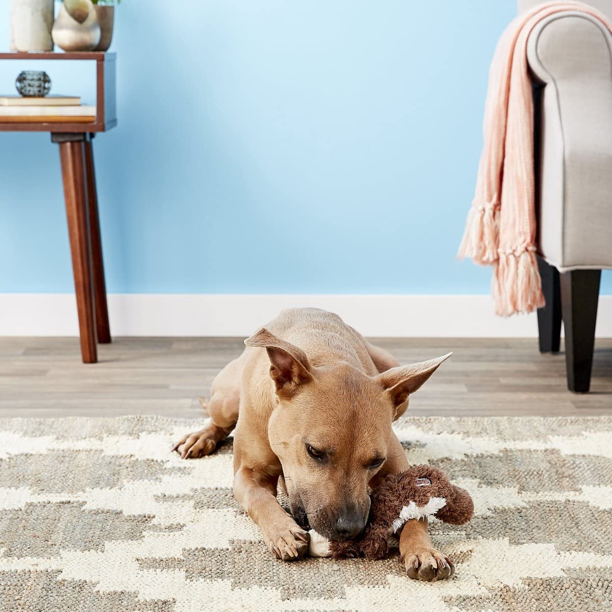 Kong - Scrunch Knots Squirrel - Internal Knotted Ropes And Minimal Stuffing For Less Mess - For Medium/Large Dogs