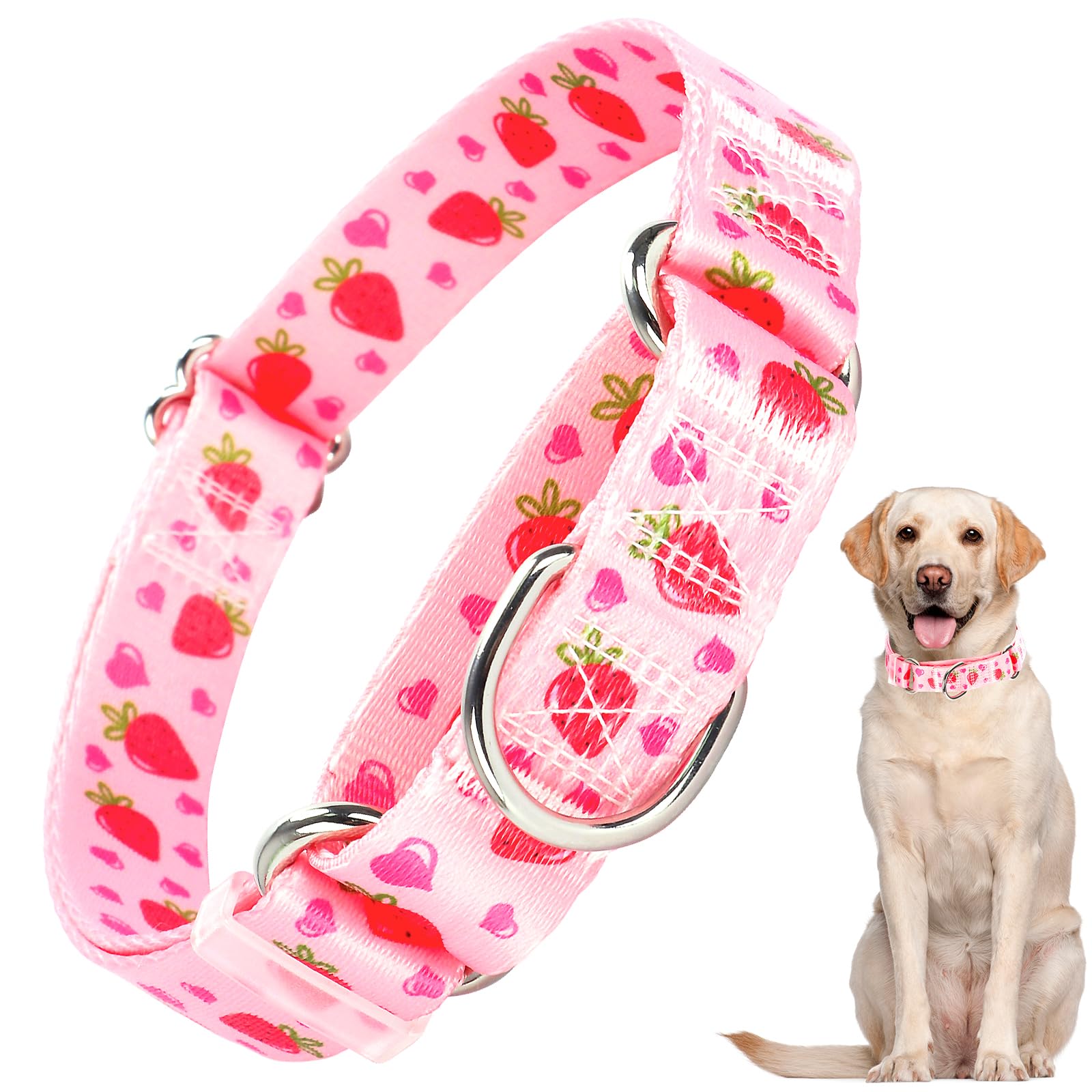 Onefojojo Martingale Collar For Dogs With Pink Strawberries