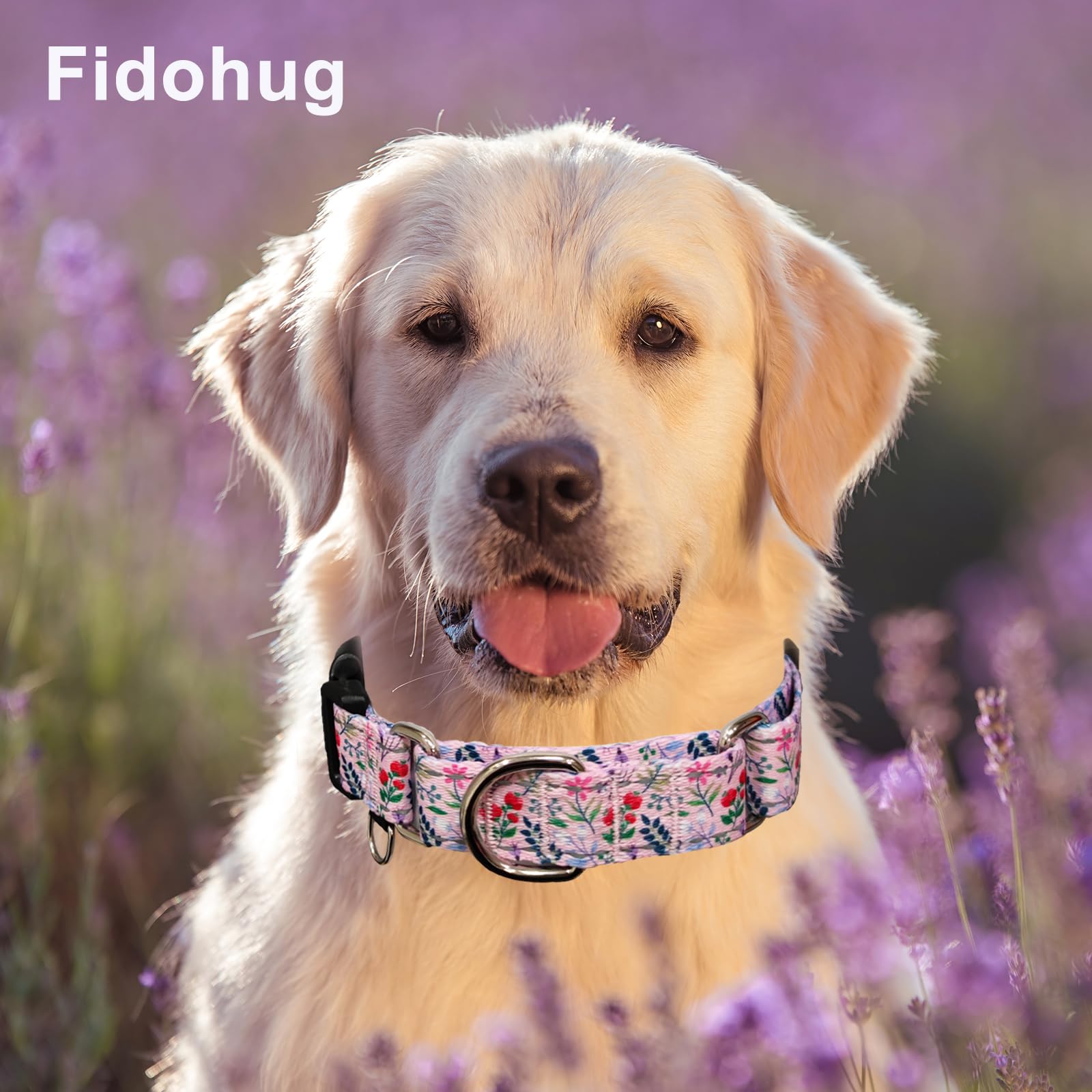 Fidohug Reflective Martingale Collar With Quick Release Buckle Anti Pulling Girl Female Dog Collars (Pink Flowers Plants, Small)