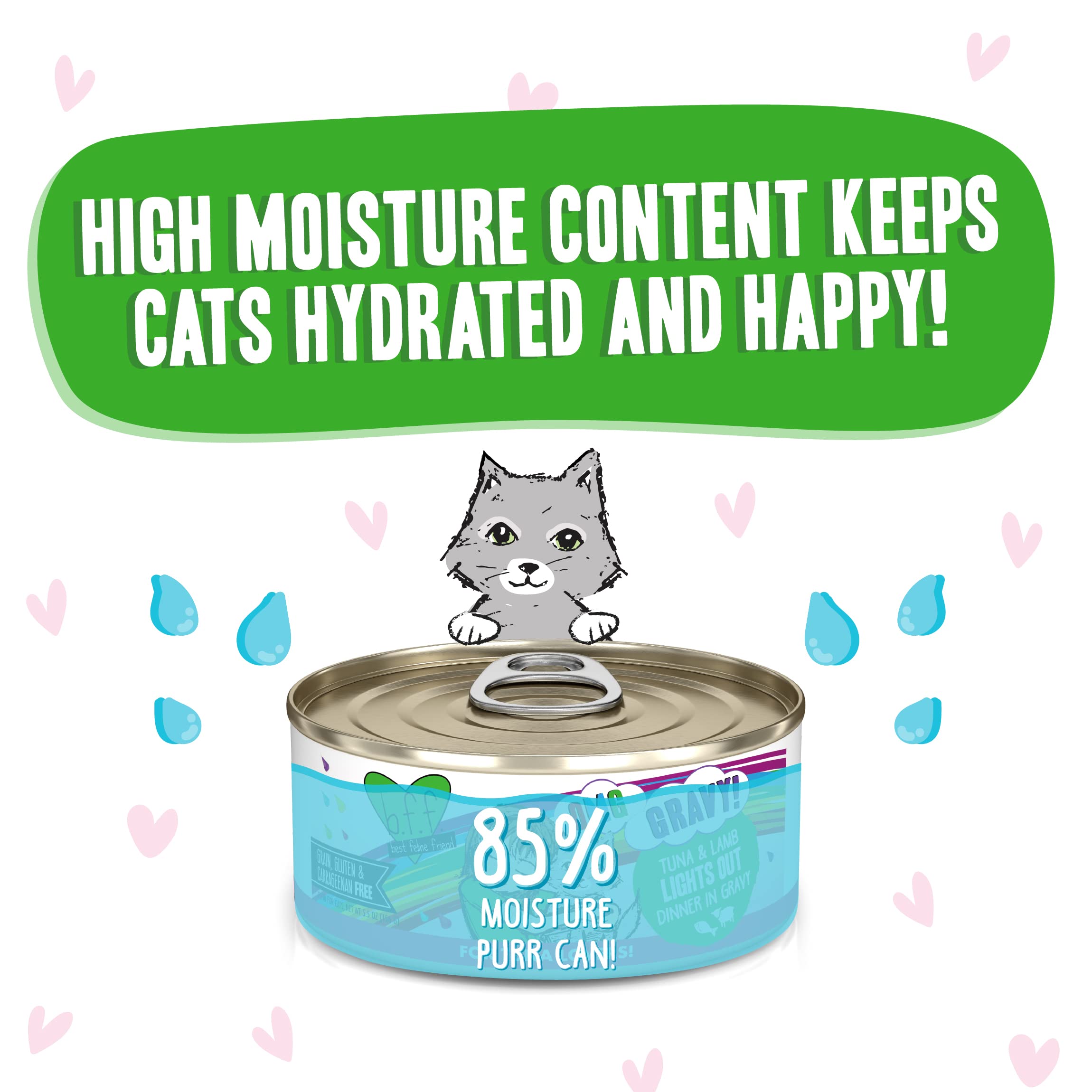 B.F.F. OMG - Best Feline Friend Oh My Gravy!, Tuna & Lamb Lights Out with Tuna & Lamb, 5.5oz Can (Pack of 8)