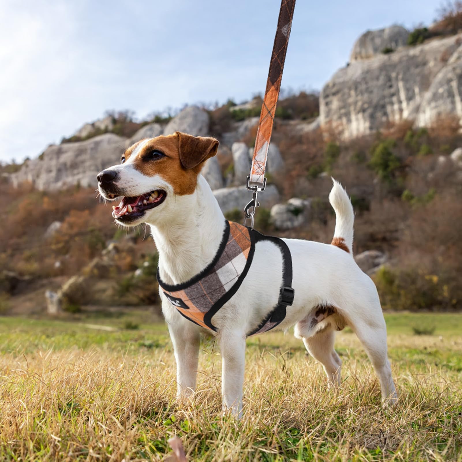 Pupteck Soft Mesh Dog Harness And Leash Set Pet Puppy Cat Comfort Padded Vest No Pull Harnesses, Orange, L