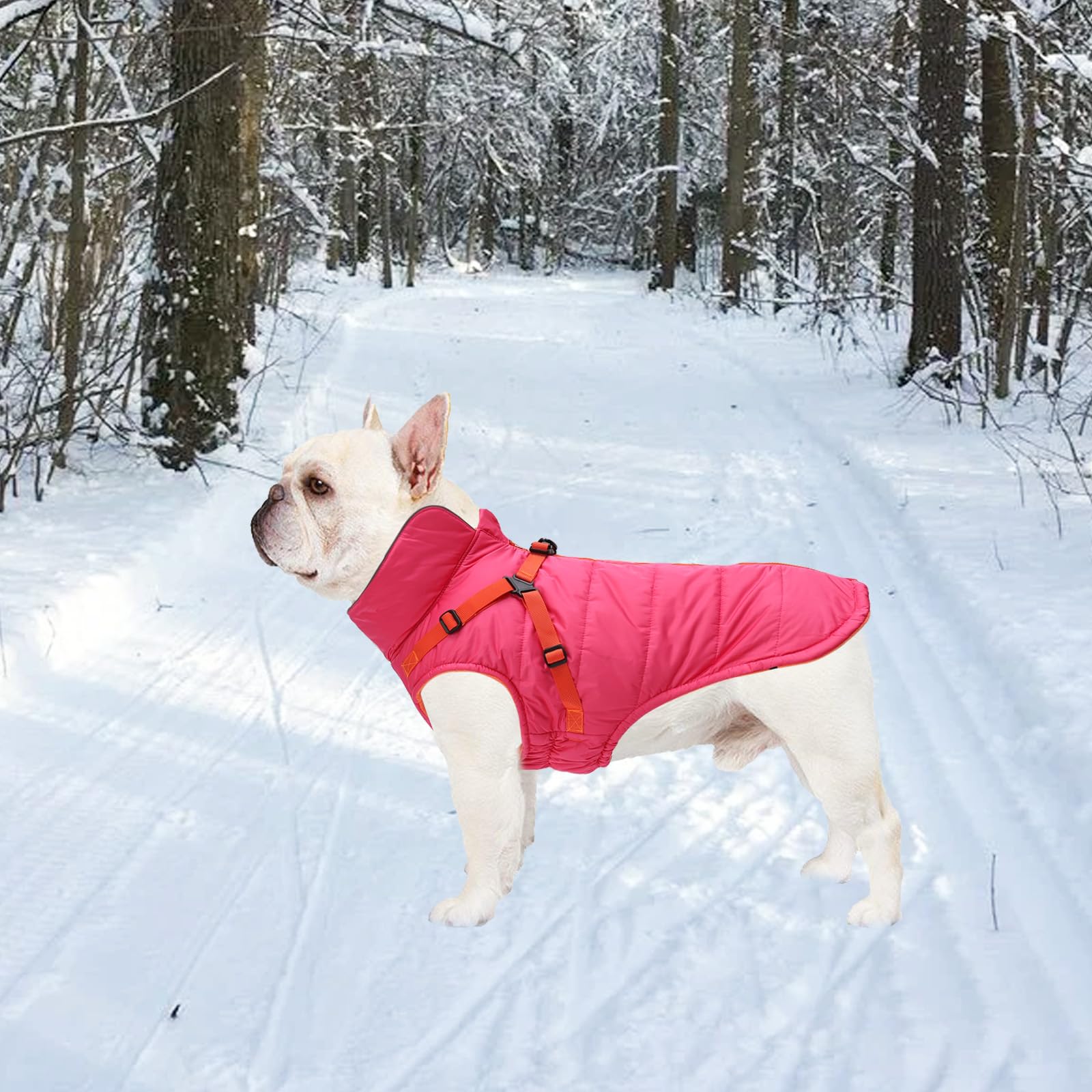 Geyecete Winter Warm Coat Waterproof Dog Winter Jacket With Harness Traction Belt,Windproof Pet Outdoor Jacket Dog Autumn-Pink-X