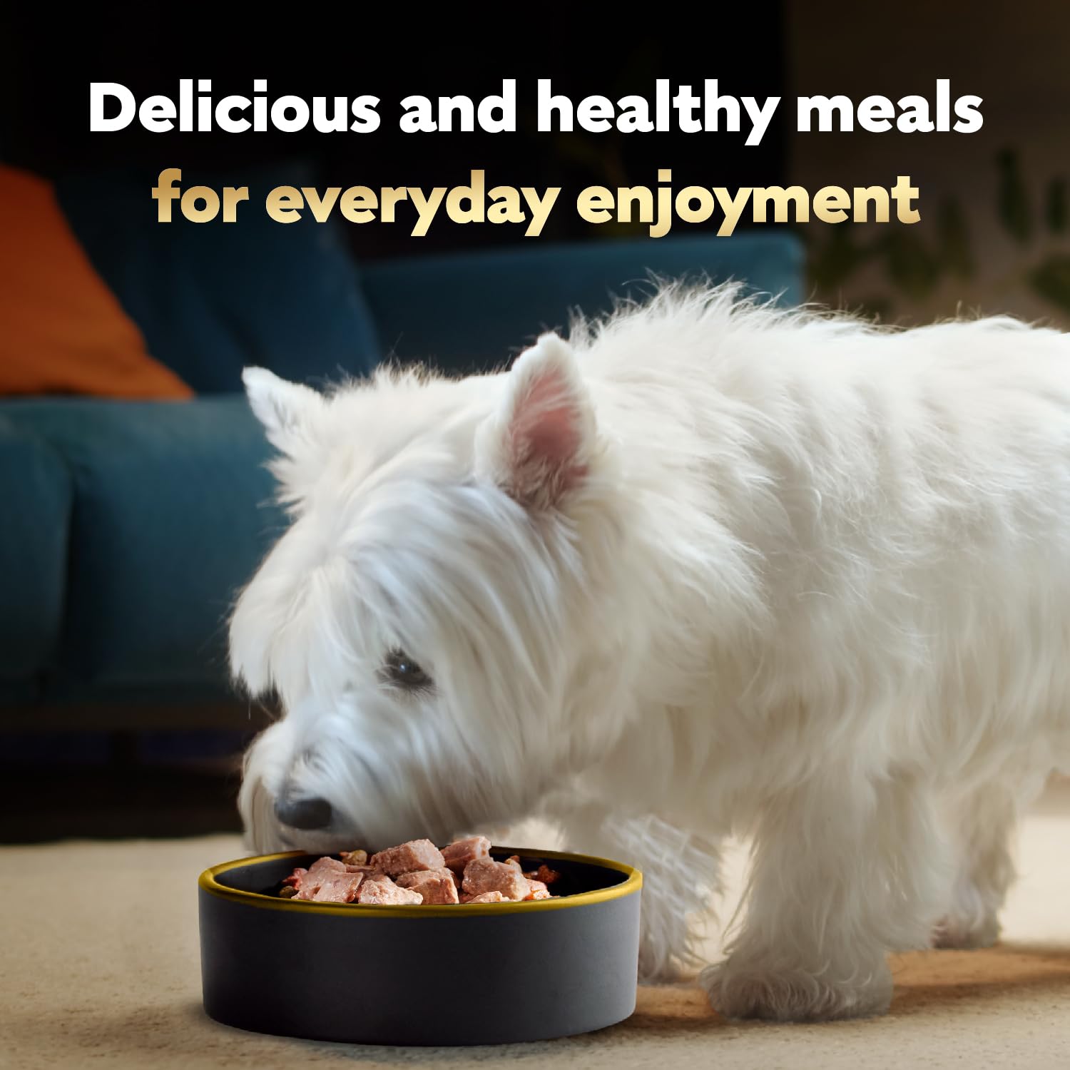 Cesar Wet Dog Food Loaf & Topper in Sauce Rotisserie Chicken Flavor with Bacon & Cheese, 3.5 oz. Easy Peel Trays (24 Count, Pack