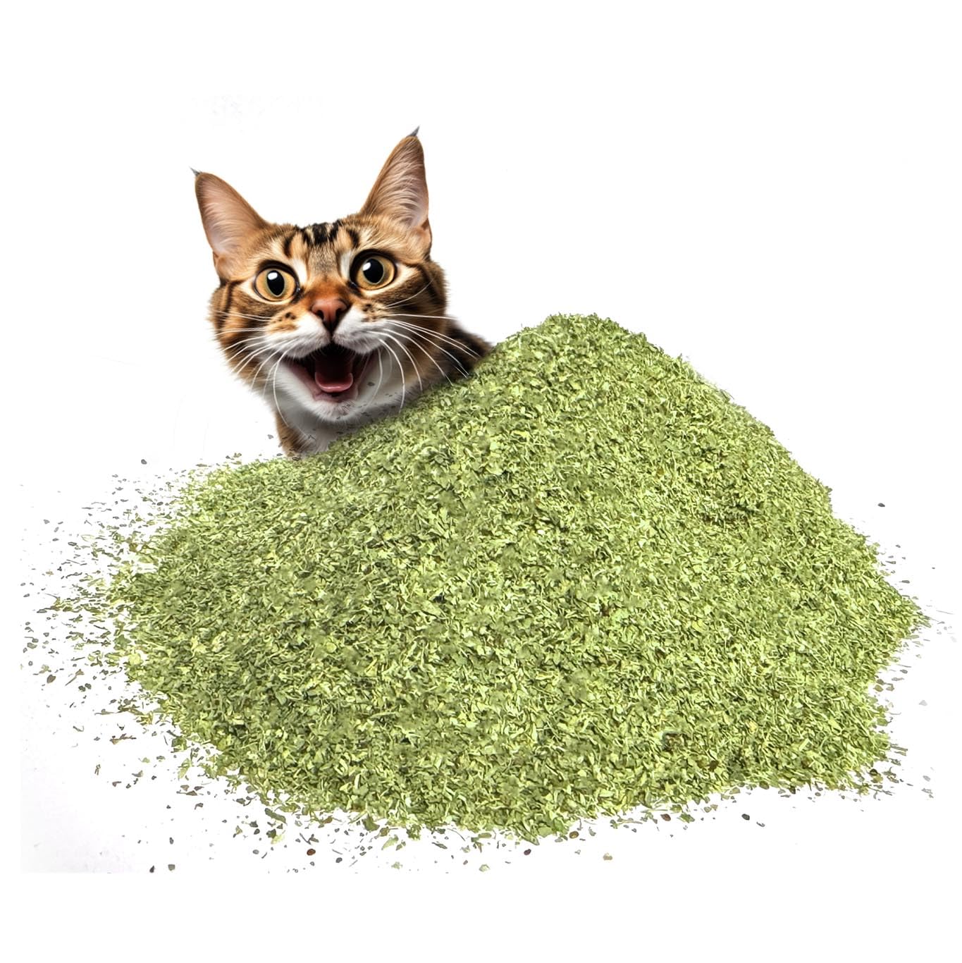 Fiend Catnip - Ultra Potent 100% Pure Fine Cat Nip - 3 Count, 1 Cup Tub - Green - Ideal for Cats & Kittens