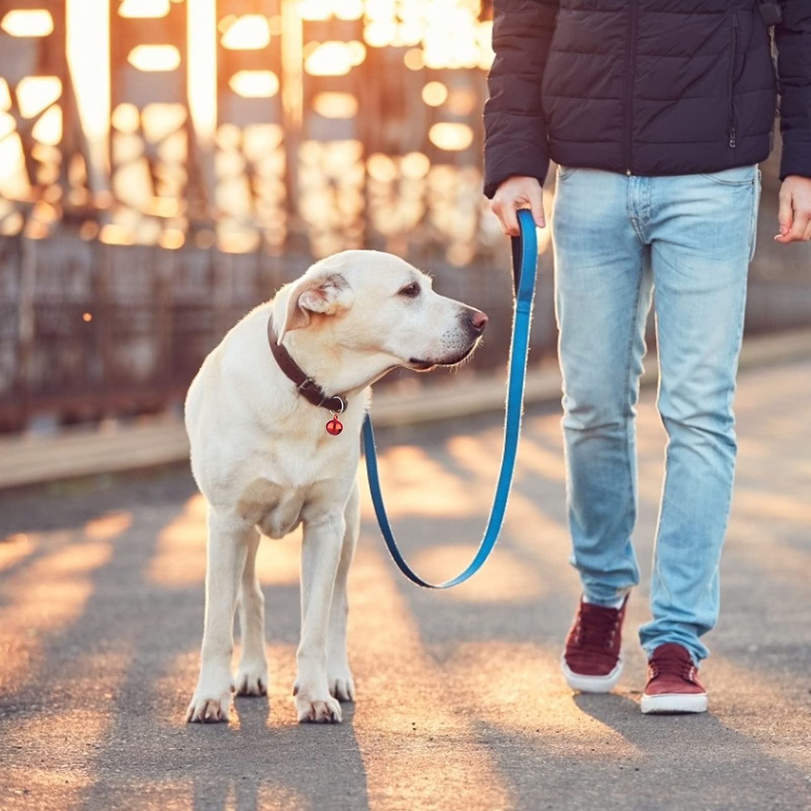 Molain 24Pcs Cat Bells & Dog Collar Bells With Keyrings, Training Jingle Bell Collar Pendant Pet Accessories Festival Party Diy Small Bells(Mixed Color)