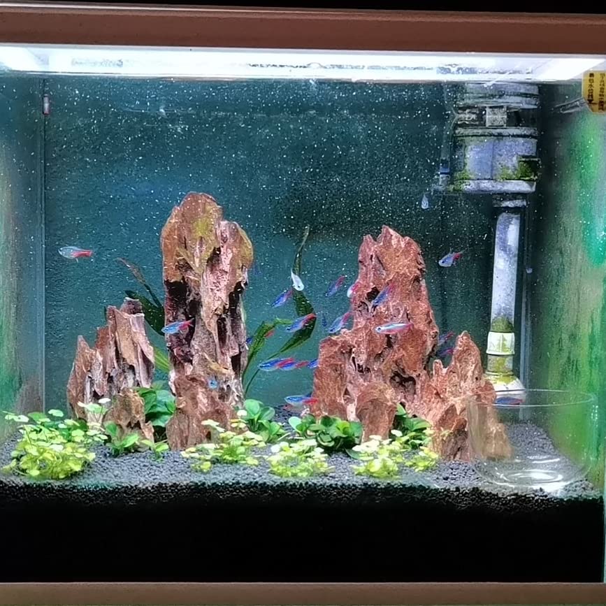 AWXZOM Natural Dragon Rock Carefully Selected Mixed Sizes, Decorative Aquarium Rocks, Aquarium Stones for Fish Tank (4.4lb)