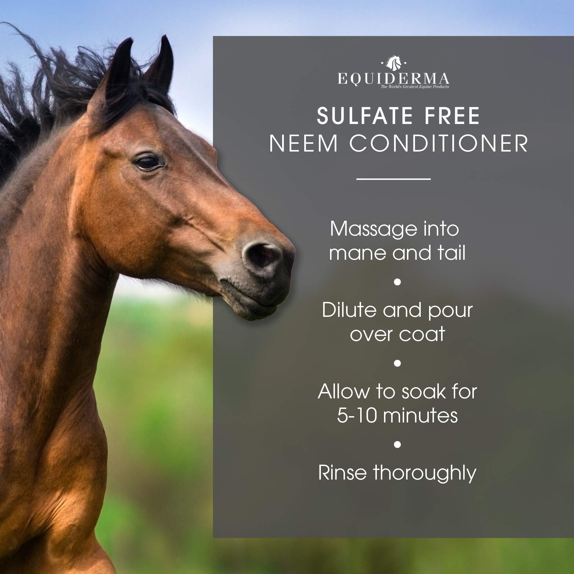 Equiderma Neem And Aloe Coat Conditioner, 32 Ounces Per Bottle, For Horses