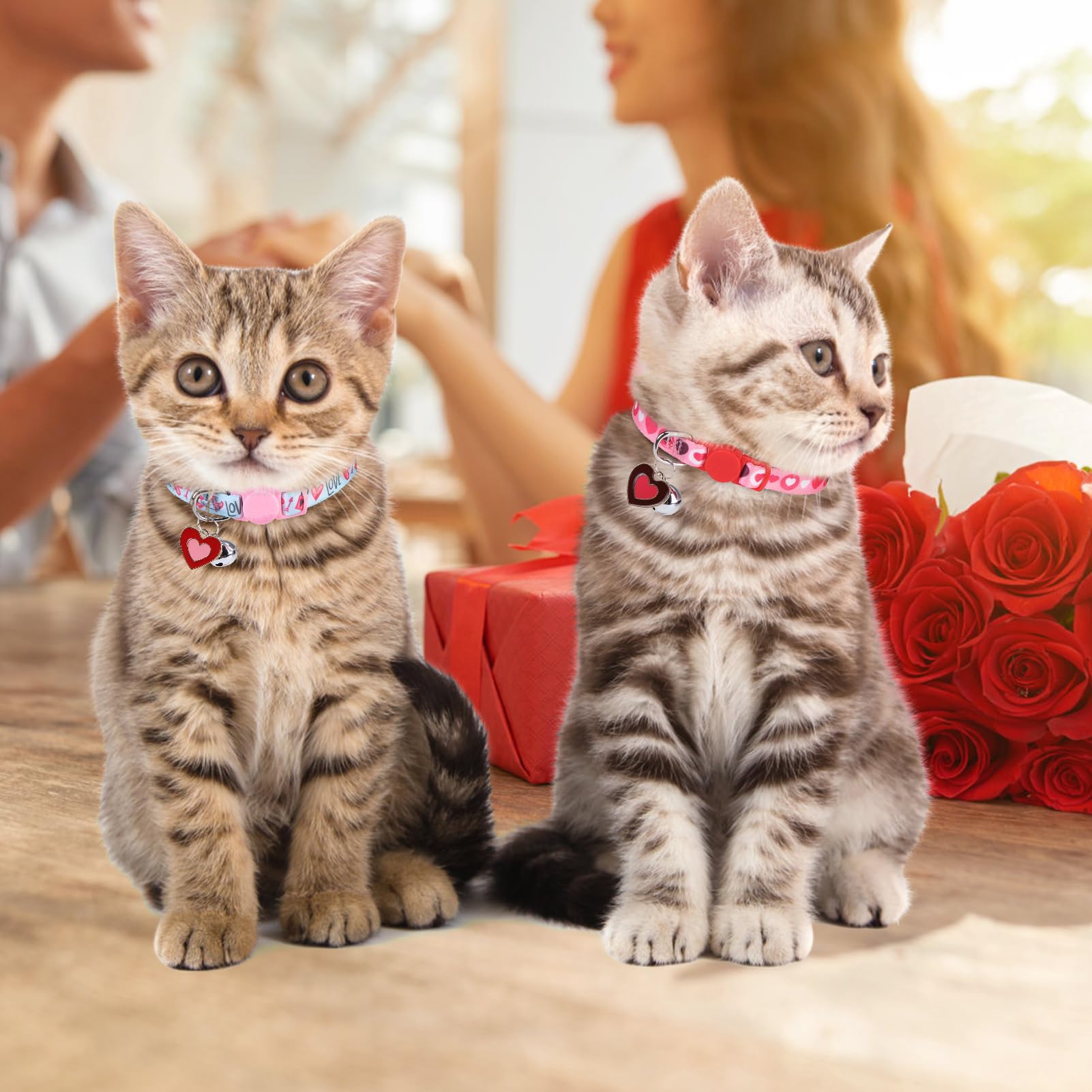 Dillybud Breakaway Cat Collars For Girl Boy Cats, Fall Winter All Weather Cat Collar Personalized Pattern 2 Pack,Cute Classic Sa