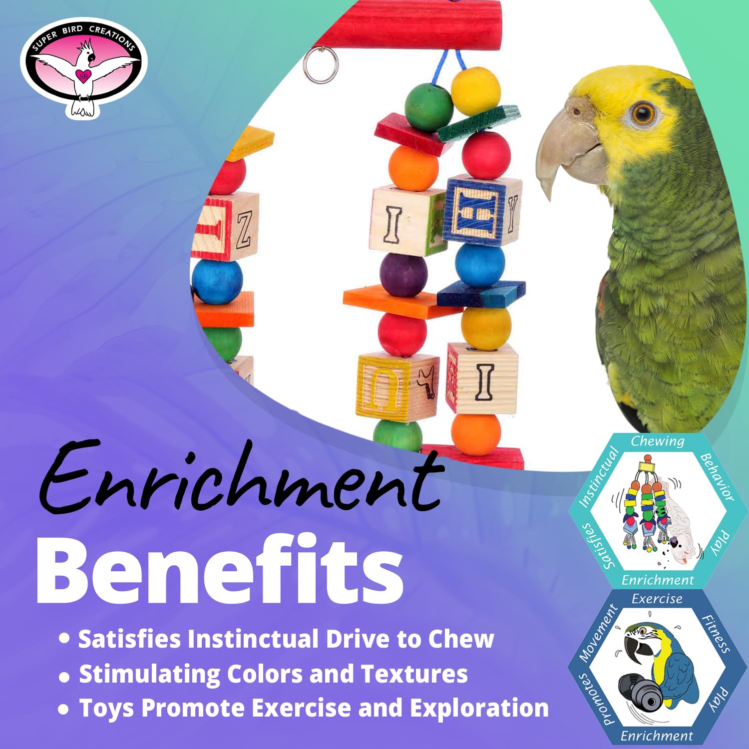 Super Bird Creations Sb319 Katy'S Abc Interactive Bird Toy - Durable Chew Toy, Textured Abc Blocks, Safe 'Polly' Rope, Ideal For