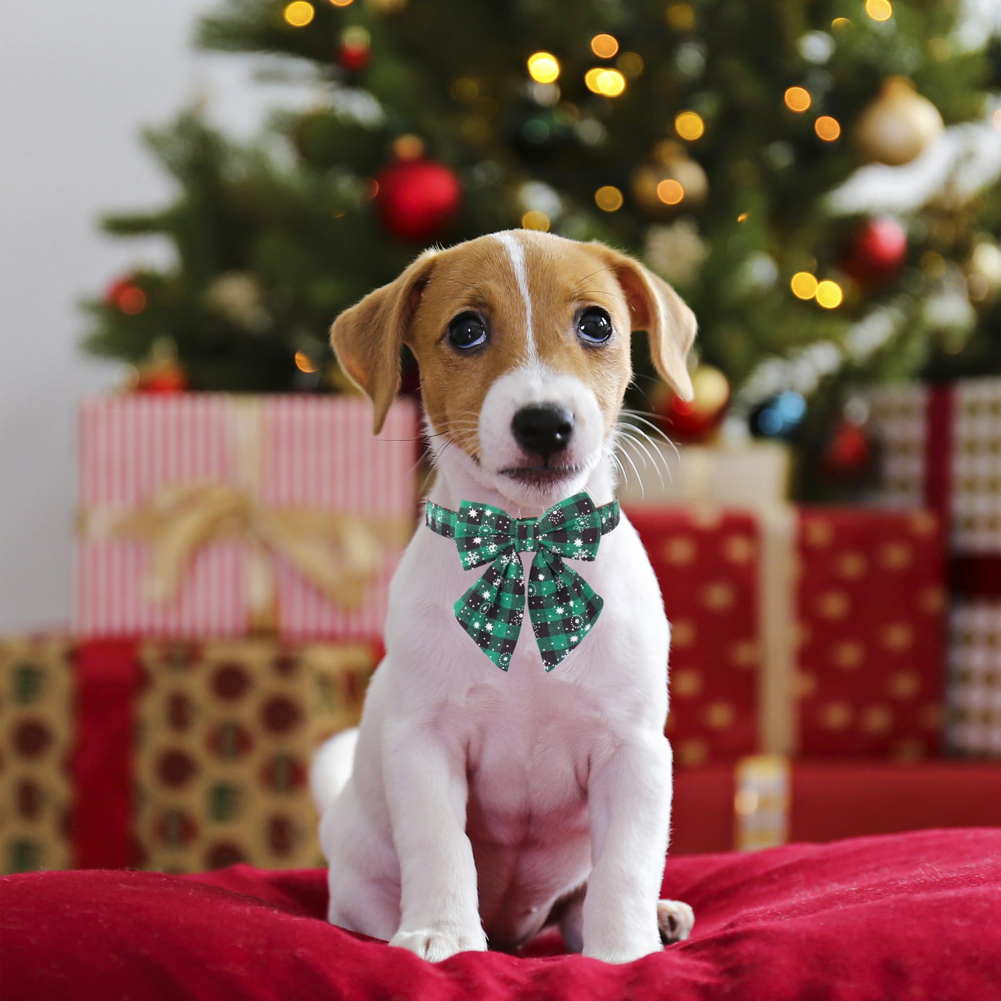Adoggygo 2 Pack Christmas Dog Collar With Bow Tie, Classic Plaid Red Green Dog Collars With Removable Bowtie Christmas Collars For Medium Dogs Pets (Medium)