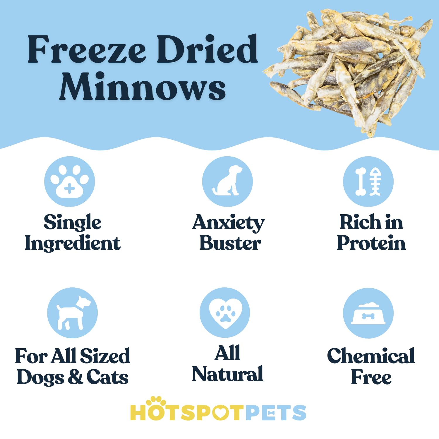 hotspot pets Freeze Dried Minnows - Healthy Treats for Cats & Dogs -1 Pound Big Bag (Made in USA) All Natural, High Protein, Ric
