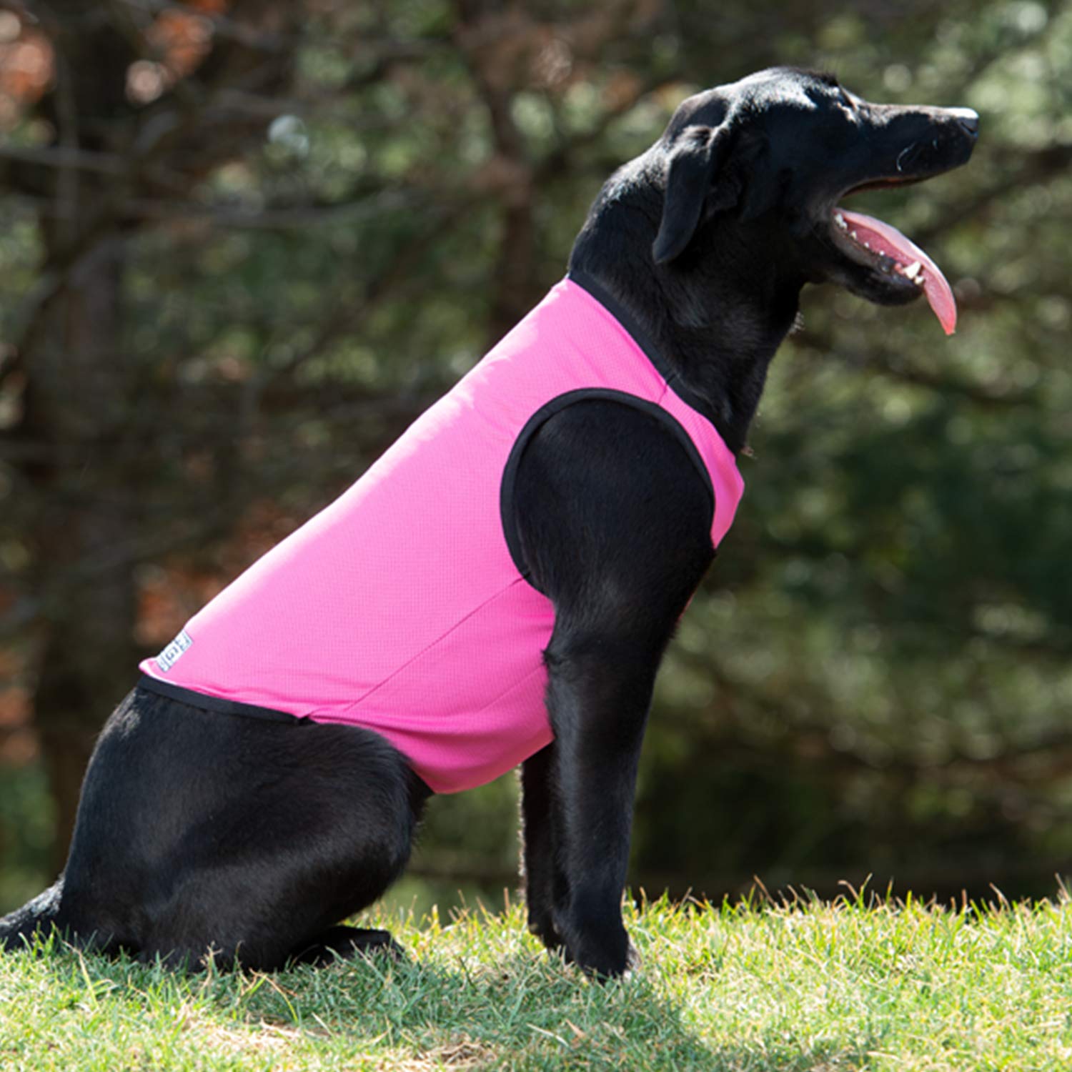 Terrain Dog Cooling Vest - Cooling Fabric Powered By Coolcore Technology