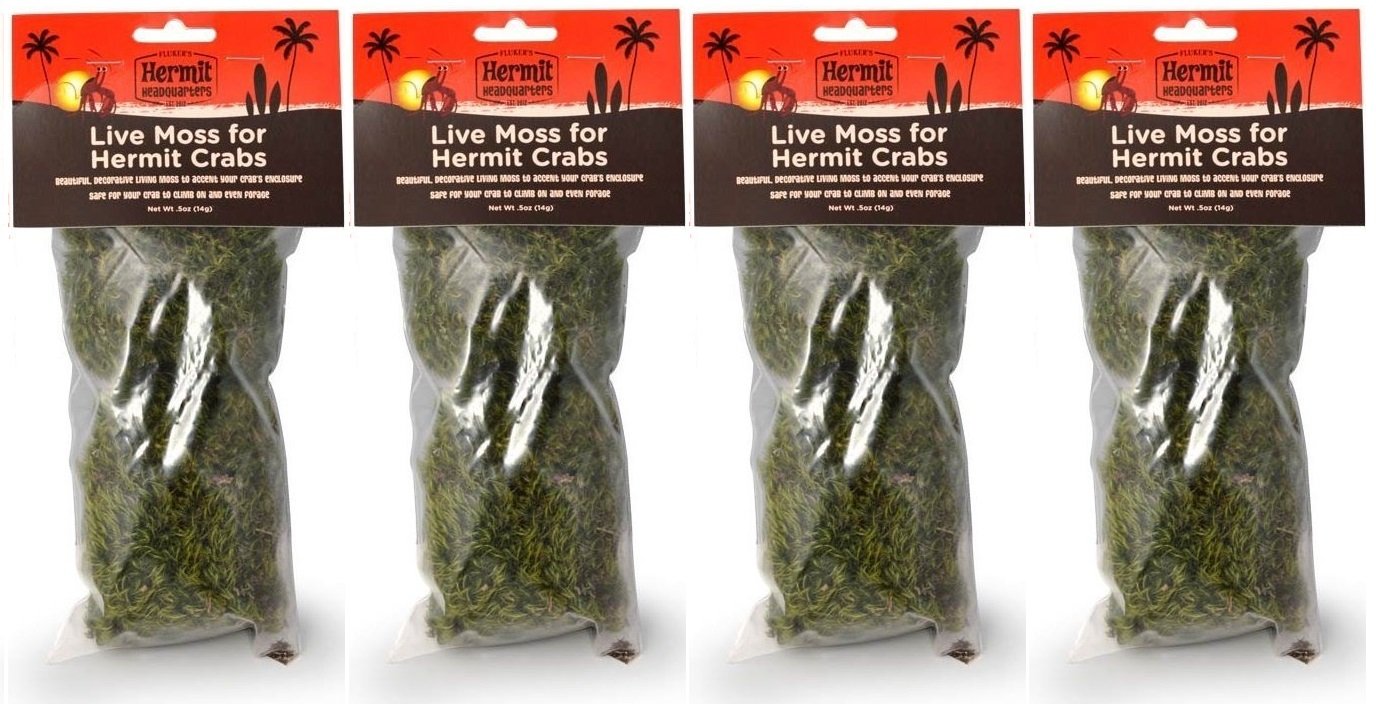 Hermit Headquarters Live Moss For Hermit Crabs