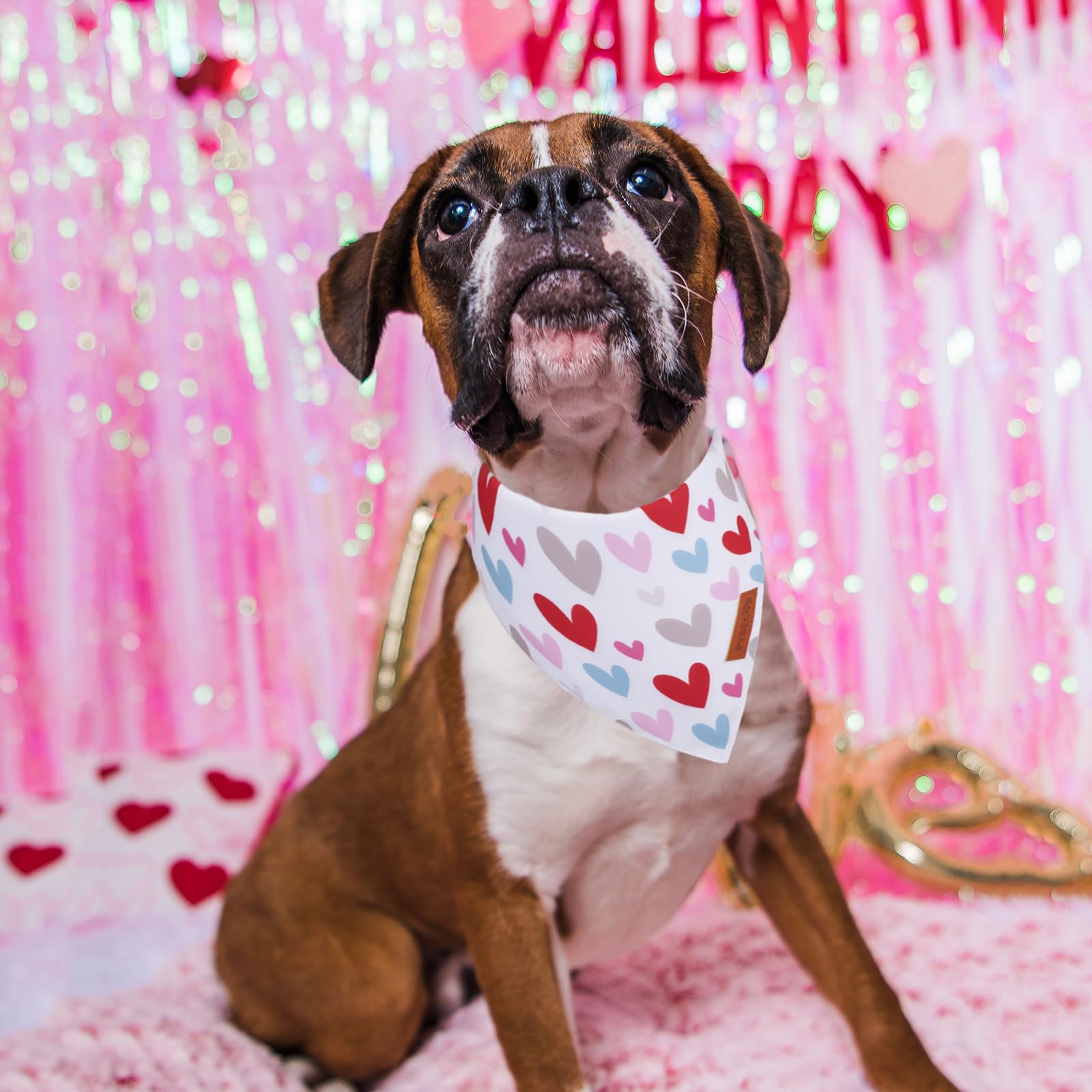 Ptdecor Valentine Dog Bandana, Reversible Holiday Dog Scarf, Multi Size Offered, Heart Valentine Bandanas For Medium Large Dogs