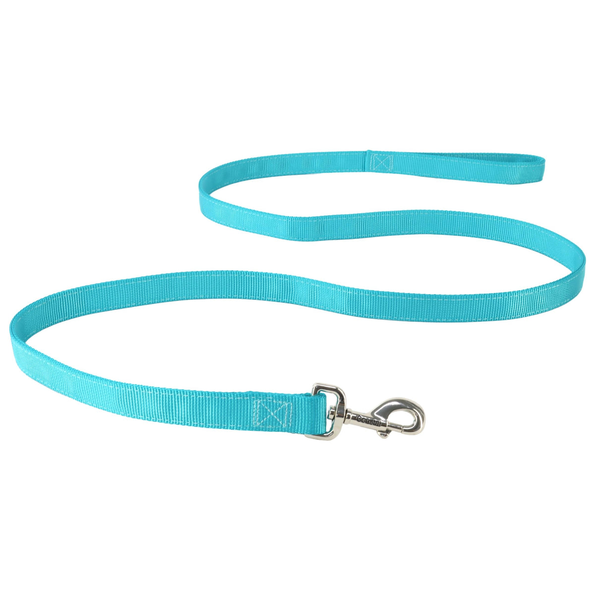 Coastal Pet Double-Ply Dog Leash - Bolt Snap Attachment To Collars And Harnesses - Nylon Dog Walking Leash For Small, Medium And Large Dogs - Teal - 1' X 6'