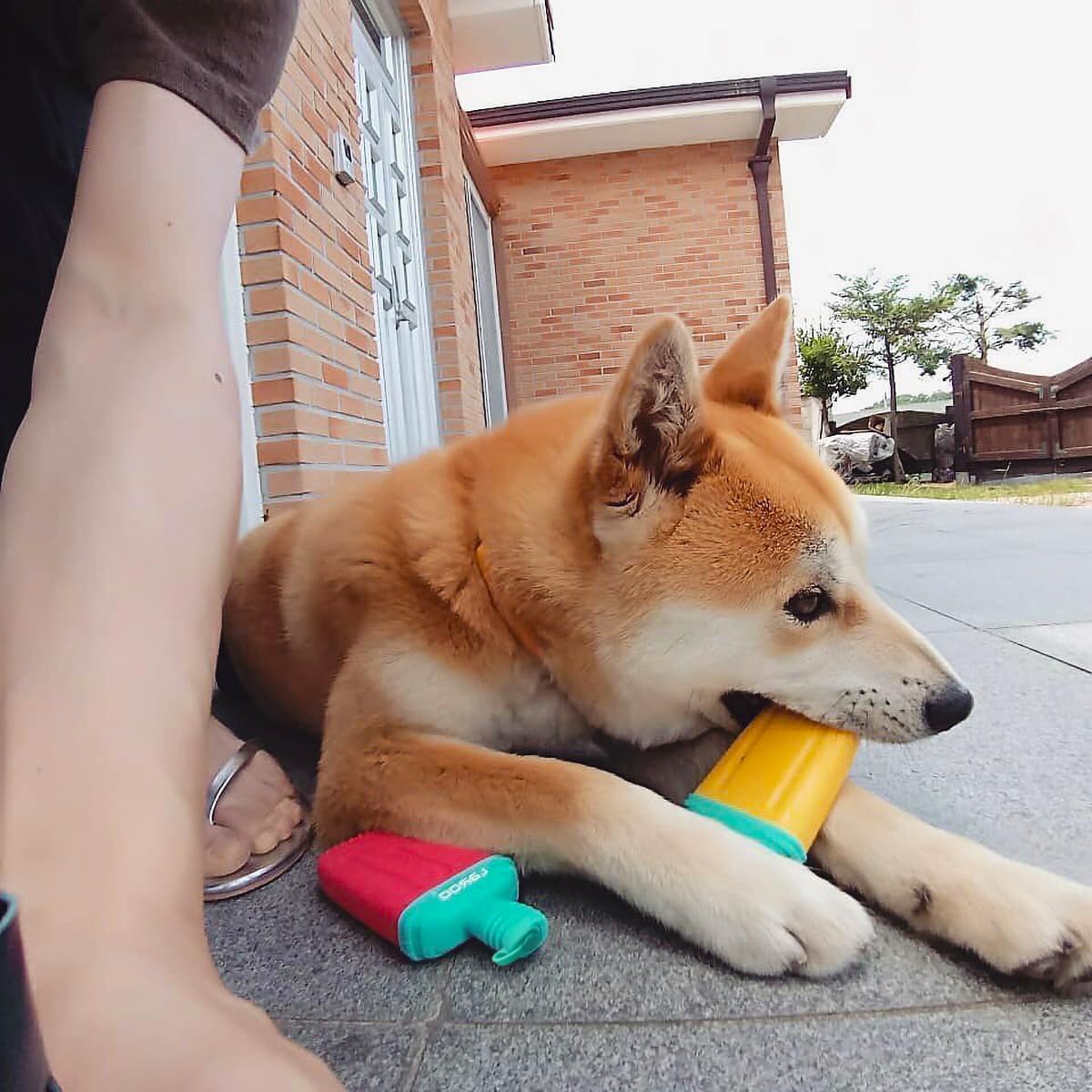 Laroo Dogs Toys For Summer Cooling, Frozen Dog Toys, Full With Water Frozen, Prevention Of Heat Stroke Upgraded Teething Chew Toy (Ice Pop Shape-Yellow)