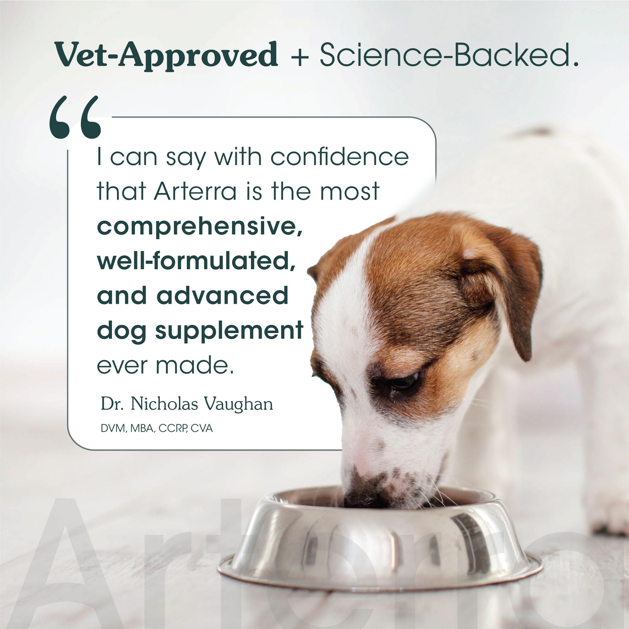 Longevity Multivitamin for Senior Dogs - 63 Ingredients for Joint, Gut, Immune & Brain Health - Supplement & Food Topper with Gl