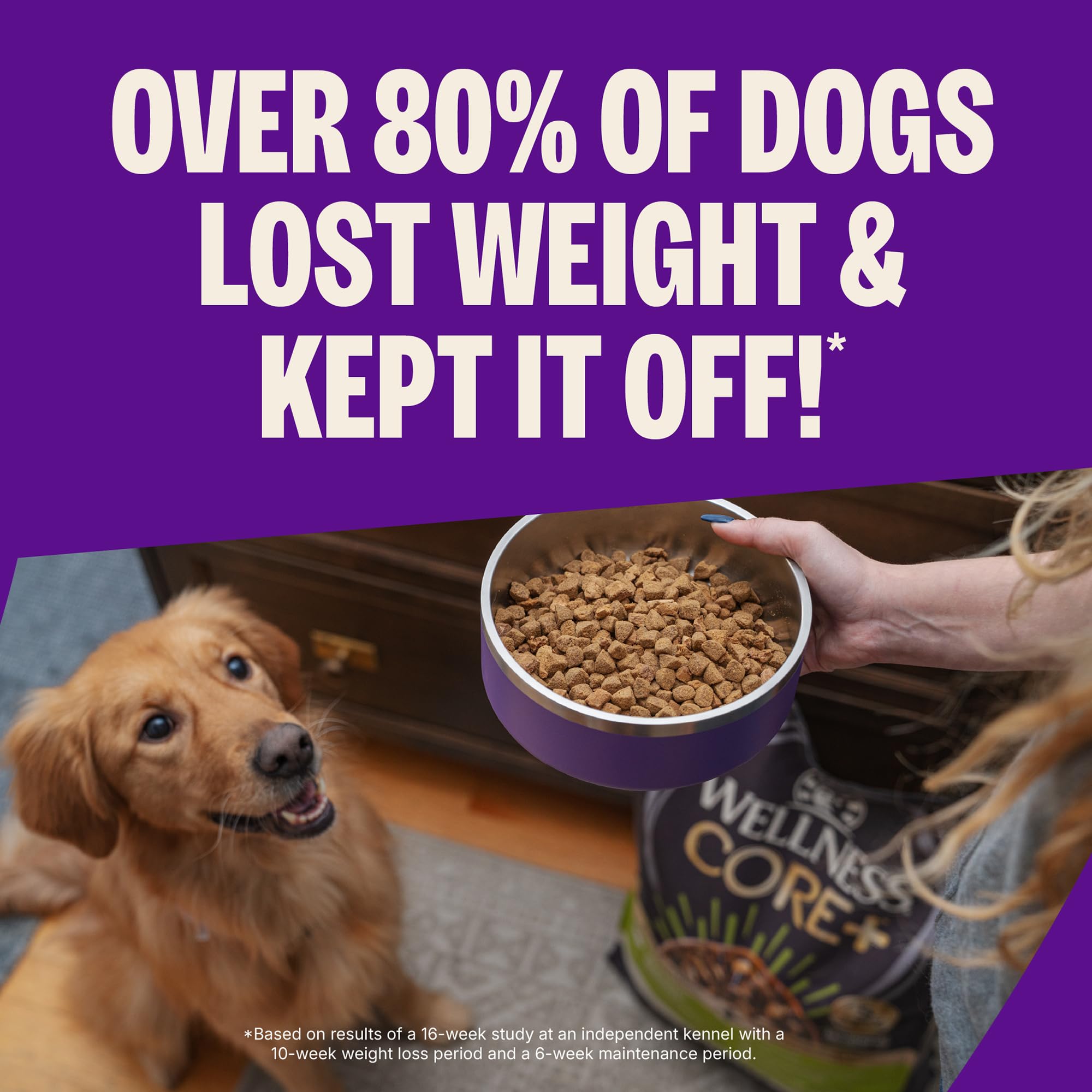 Wellness CORE Grain-Free High-Protein Dry Dog Food, Natural Ingredients, Made in USA with Real Meat, All Breeds, For Adult Dogs