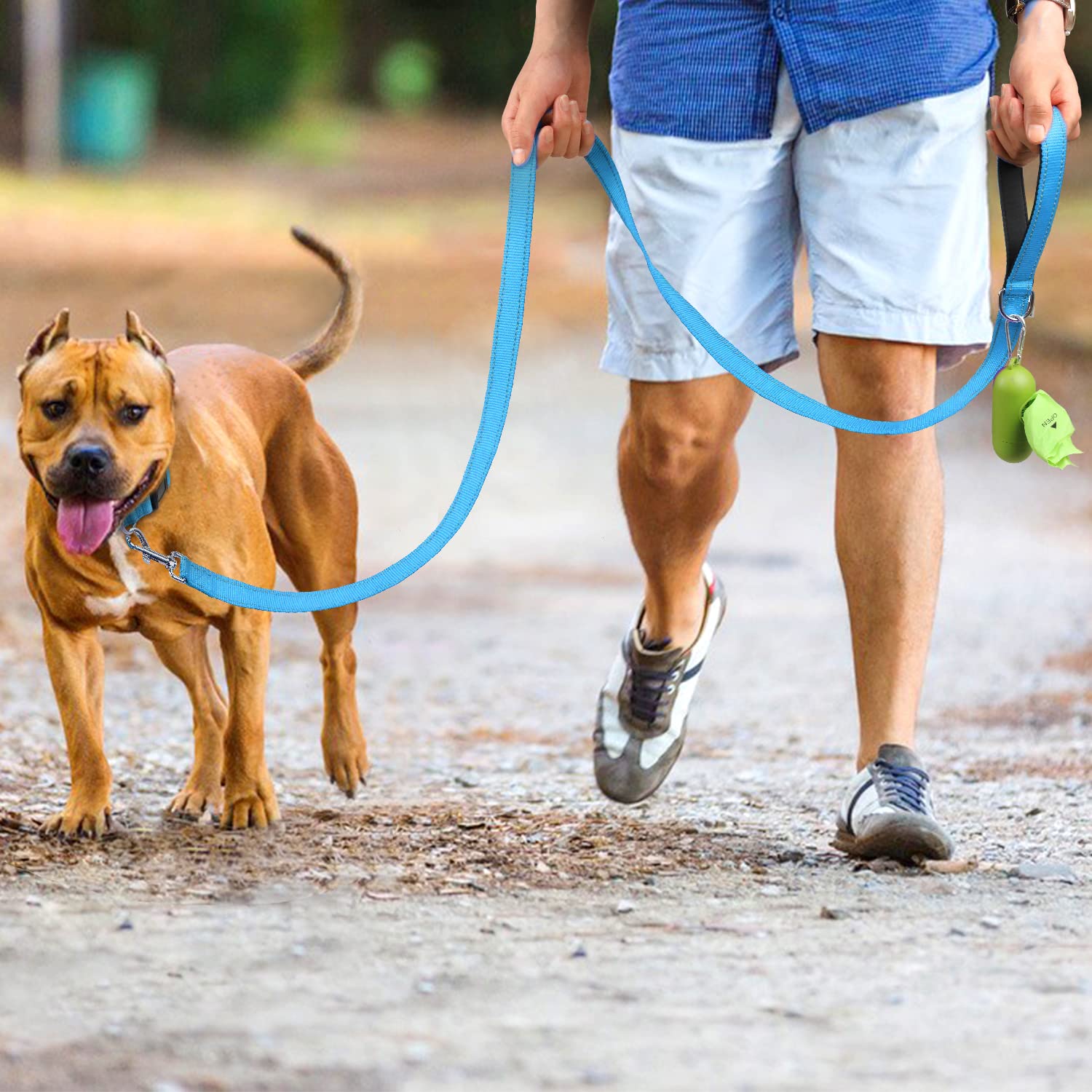 Joytale Double-Sided Reflective Dog Leash, 6 Ft/5 Ft/4 Ft, Padded Handle Nylon Dogs Leashes For Medium & Large Dogs Walking, Sky Blue, 5Ft