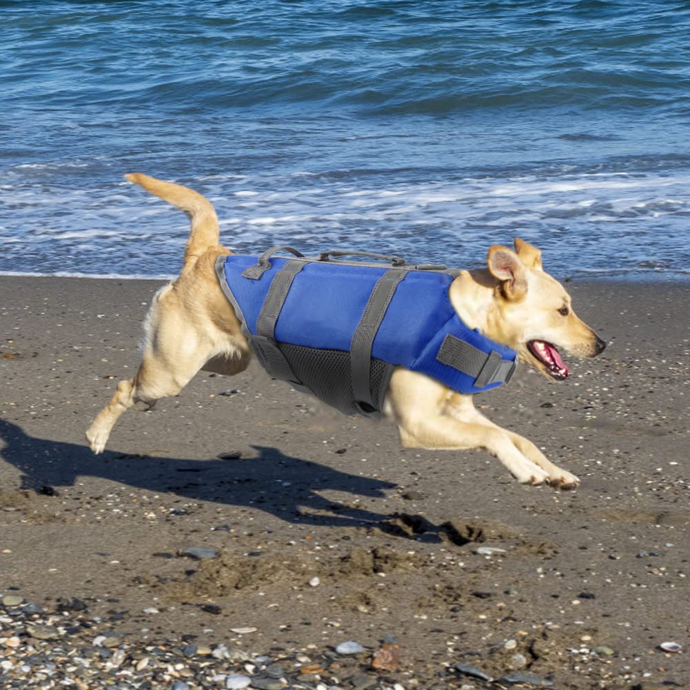 Emust Dog Life Vests, Adjustable Pet Life Jacket With Rescue Handle, Dog Flotation Vest For Small/Medium/Large Dogs, Xs, Royal B