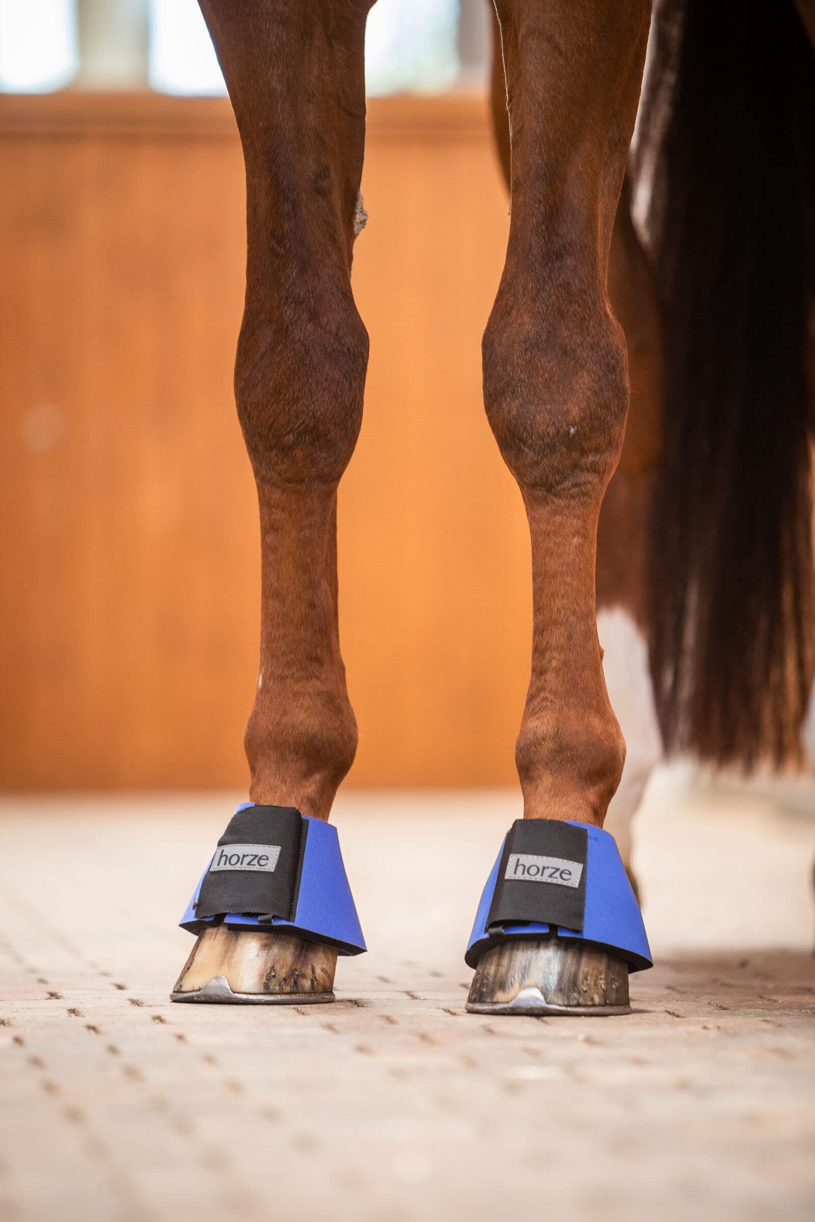 Horze Pro Overreach Bell Boots For Horses | Neoprene Pair - Blue - M