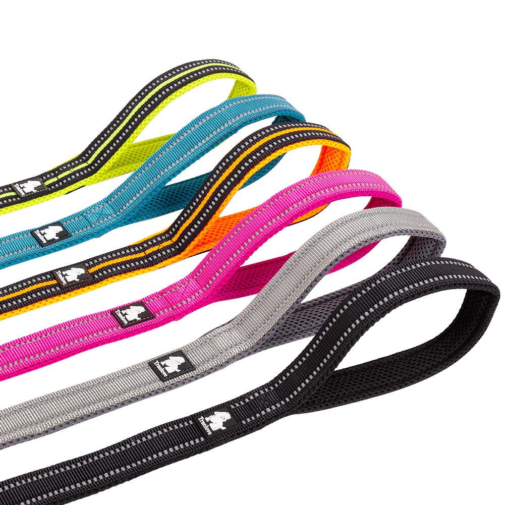 Juxzh Reflective Dog Leash .Pet Leash For Medium To Large Dogs Outdoor Adventure And Training Royal Blue